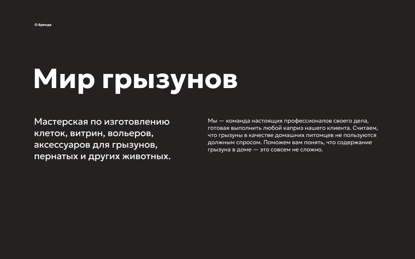 Айдентика мастерской «Мир грызунов» (Концепт)‎‎ — Изображение №2 — Брендинг на Dprofile
