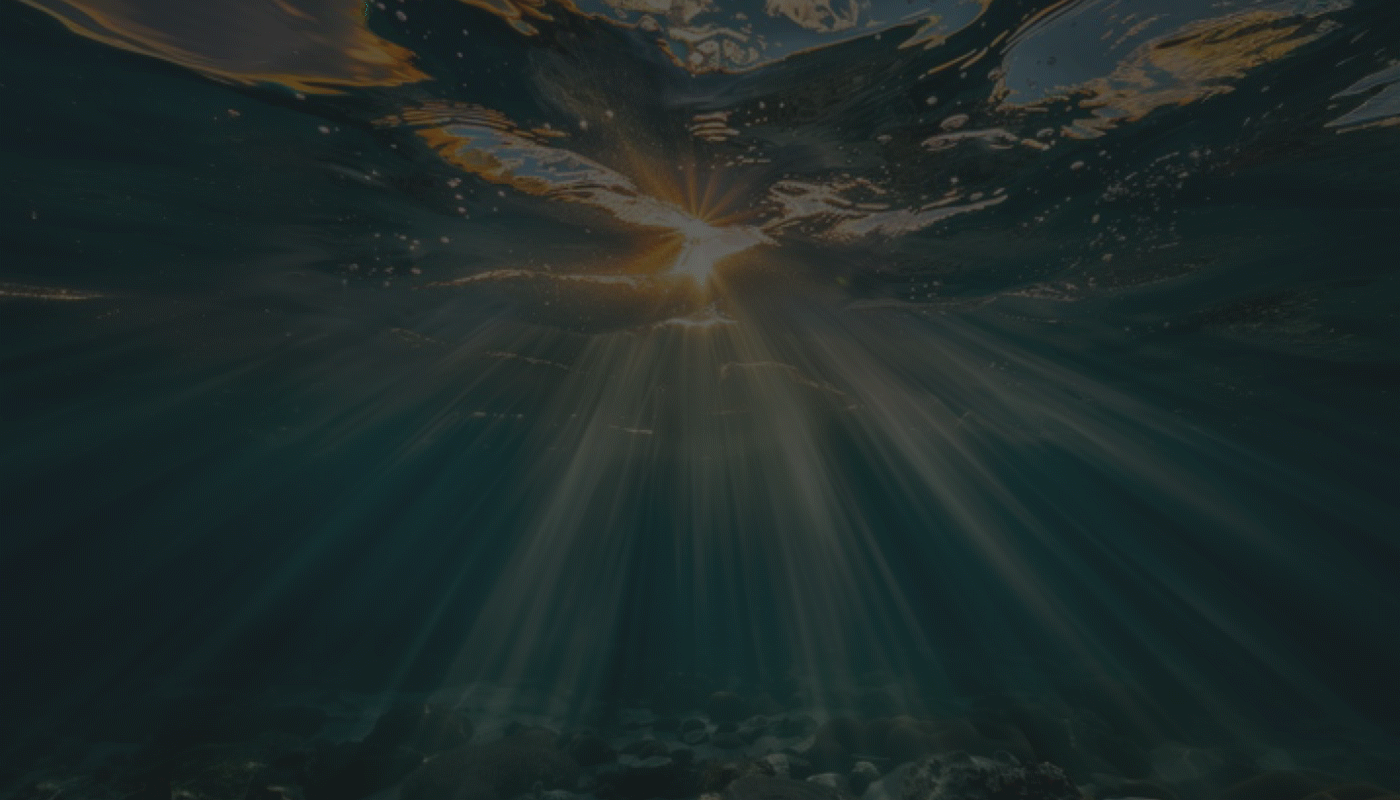 Лого. Фирменный стиль. Туризм. Море. Аппартаменты. — Изображение №1 — Брендинг, Анимация на Dprofile