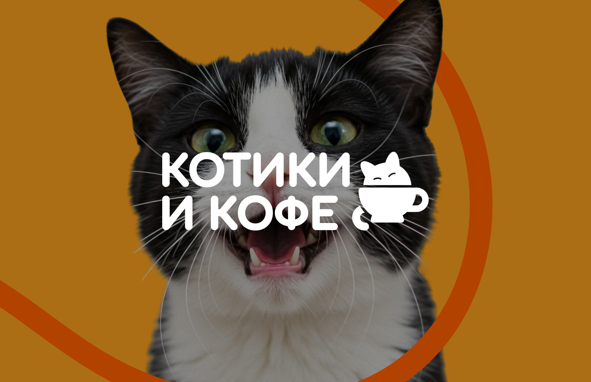 Брендинг | Социальный проект | Котокафе — Изображение №15 — Брендинг на Dprofile