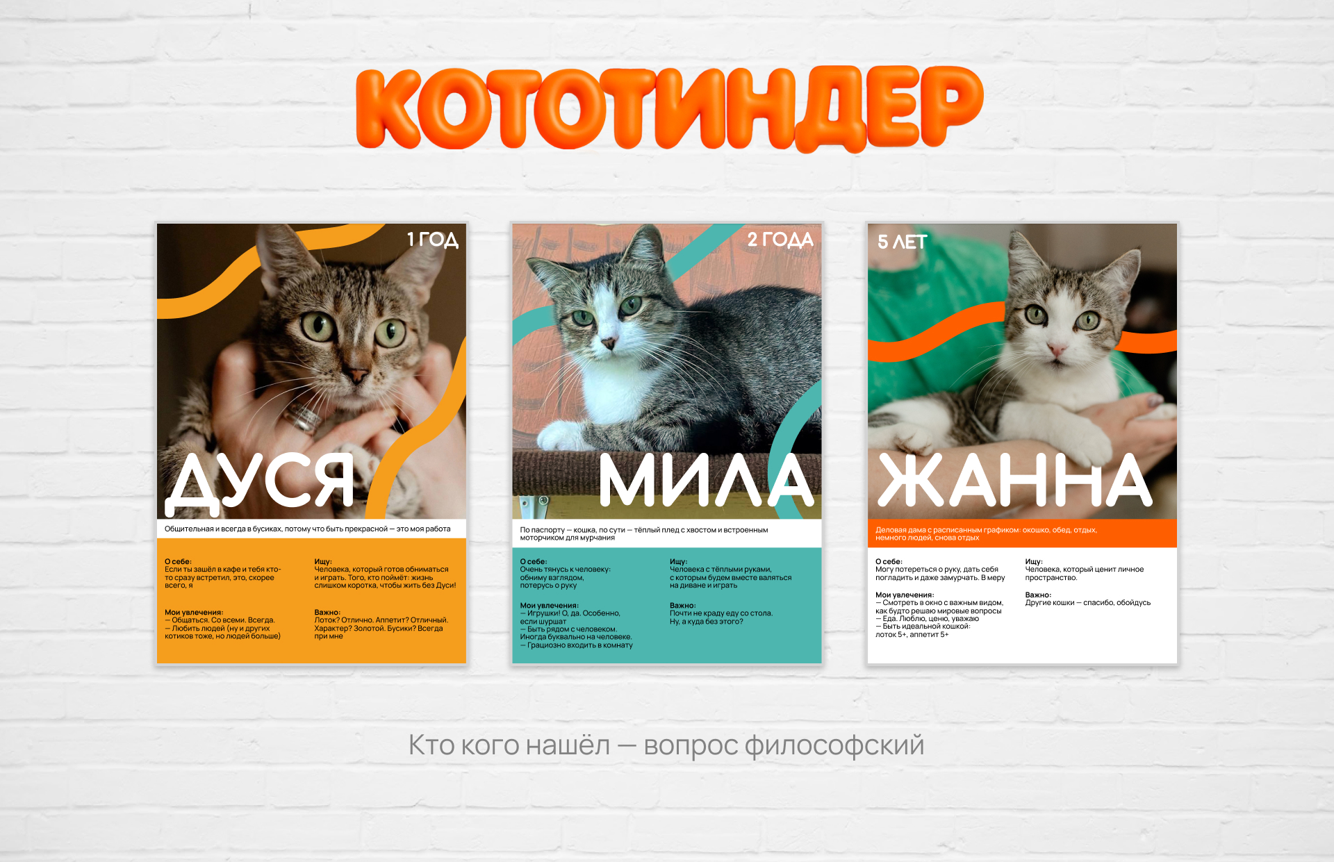 Брендинг | Социальный проект | Котокафе — Изображение №3 — Брендинг на Dprofile
