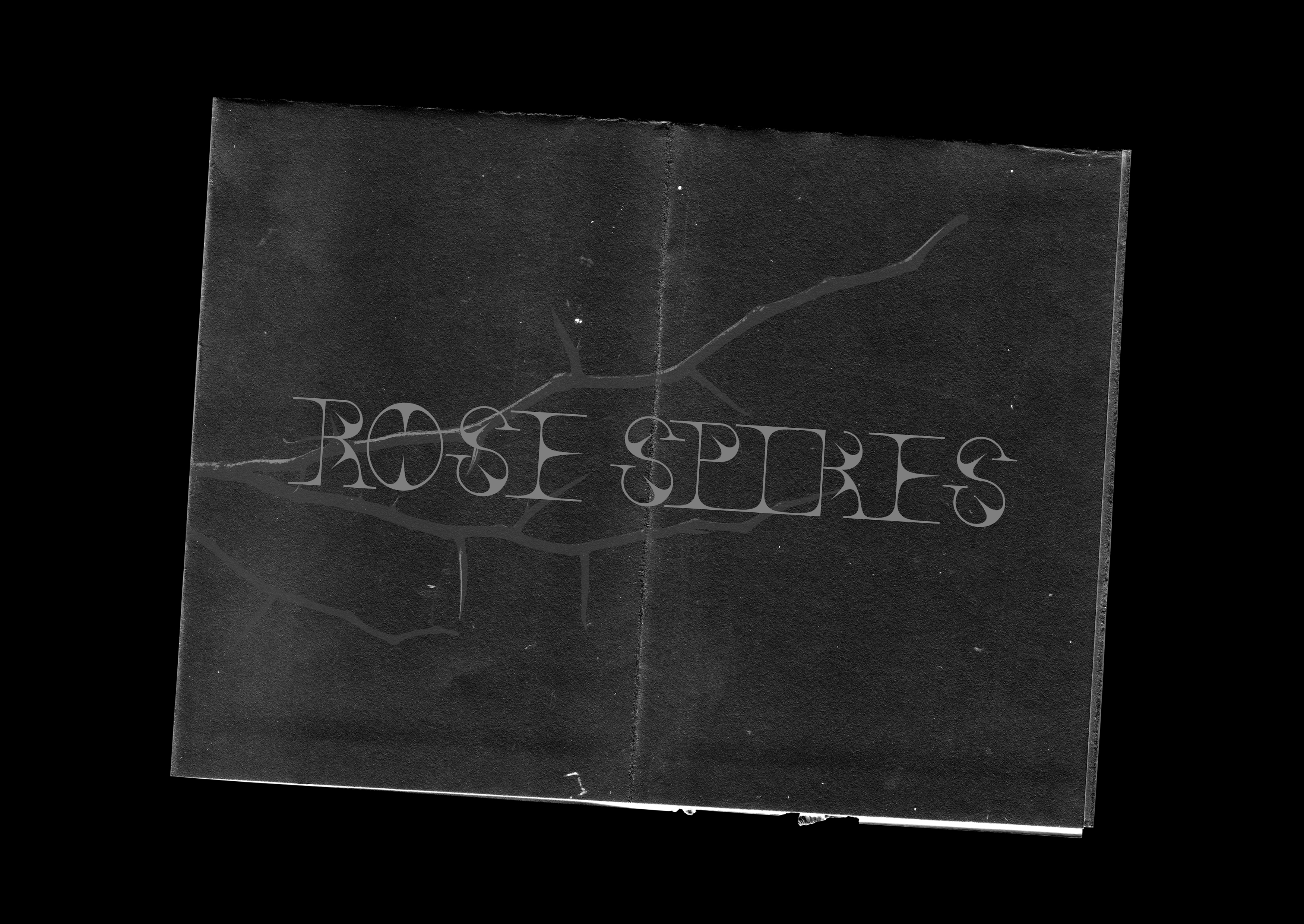 Rose Spikes | Type Design — Изображение №5 — Брендинг, Графика на Dprofile