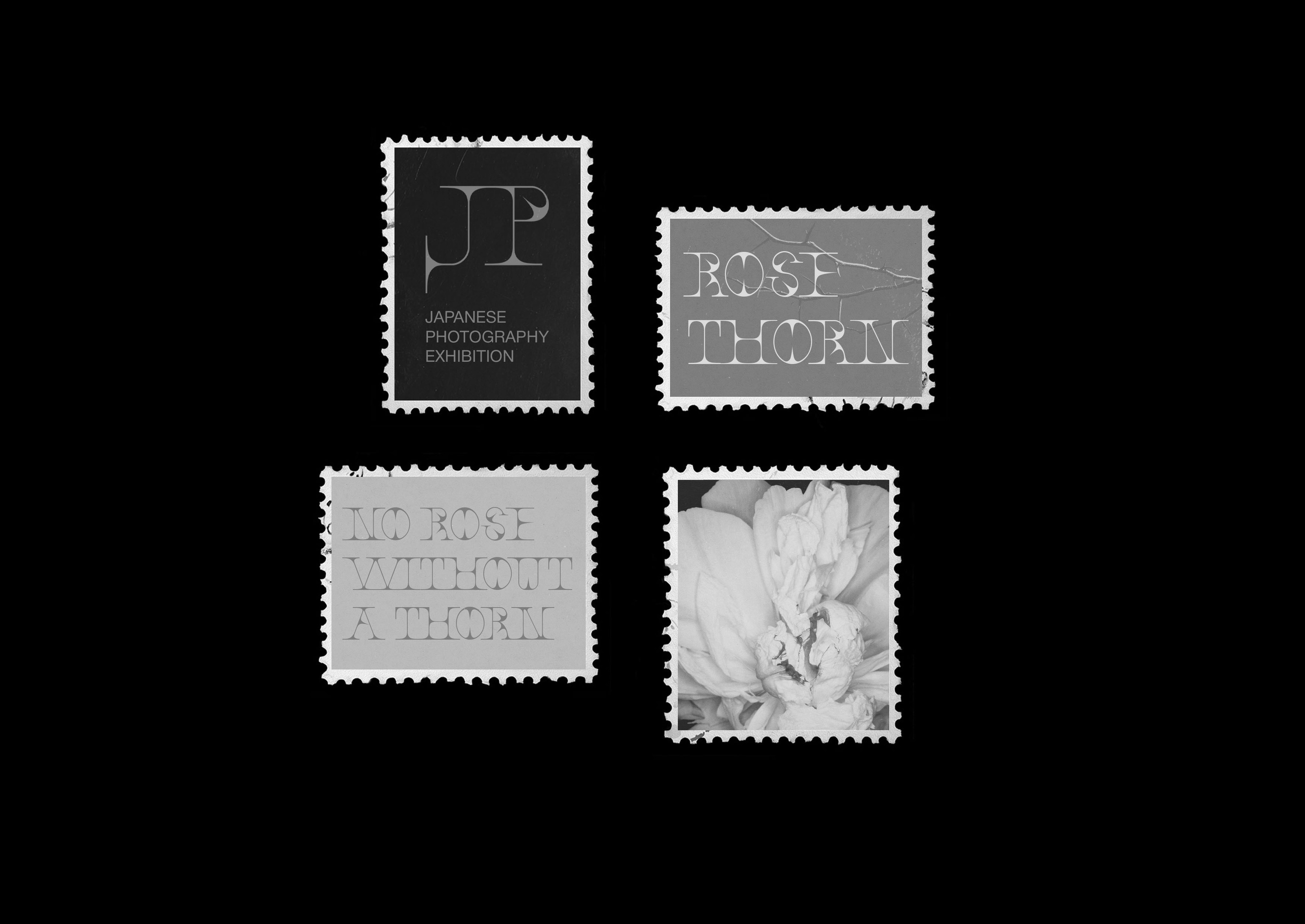 Rose Spikes | Type Design — Изображение №19 — Брендинг, Графика на Dprofile