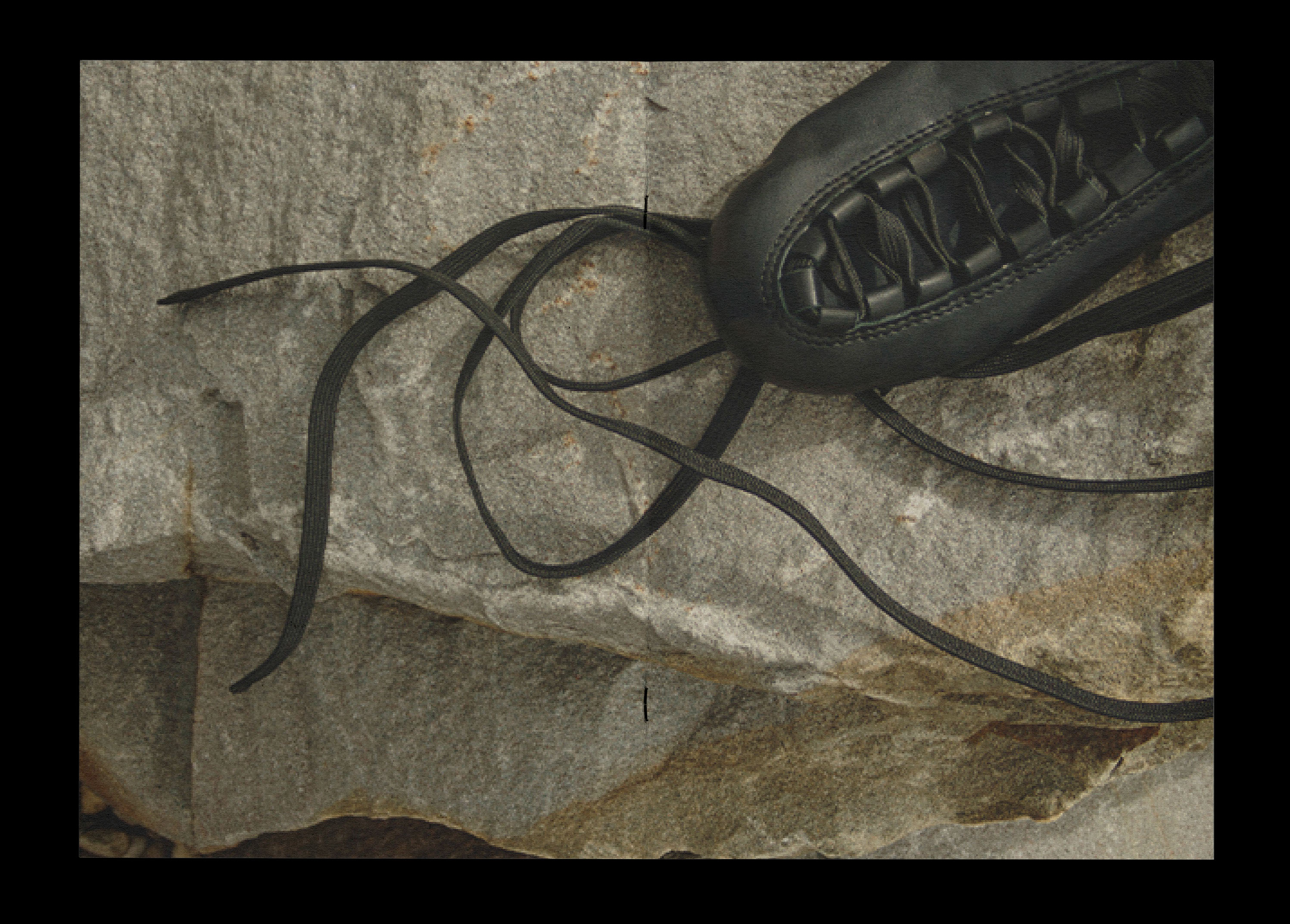 Koshik | Visual Identity — Изображение №18 — Брендинг, Графика на Dprofile