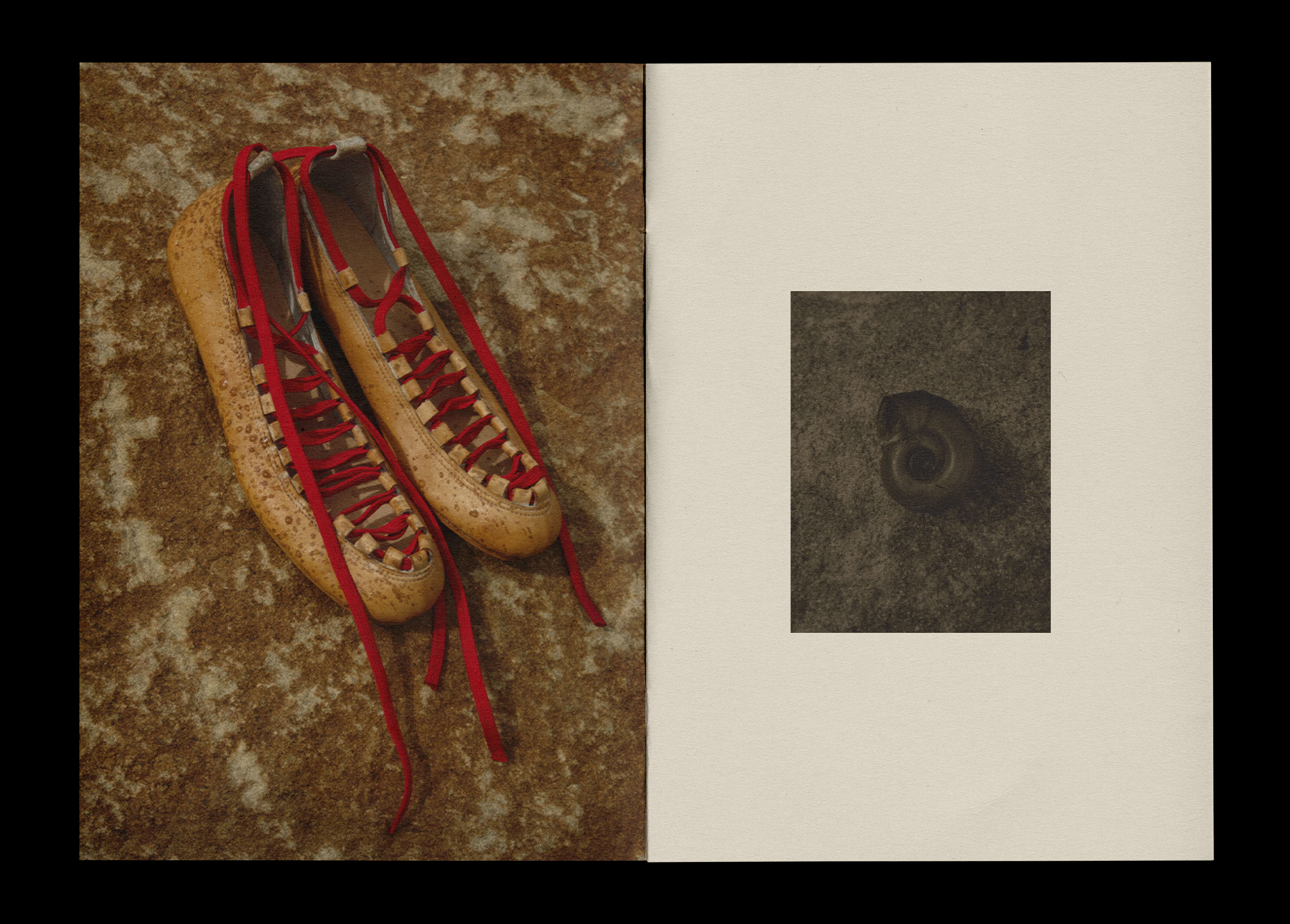 Koshik | Visual Identity — Изображение №19 — Брендинг, Графика на Dprofile