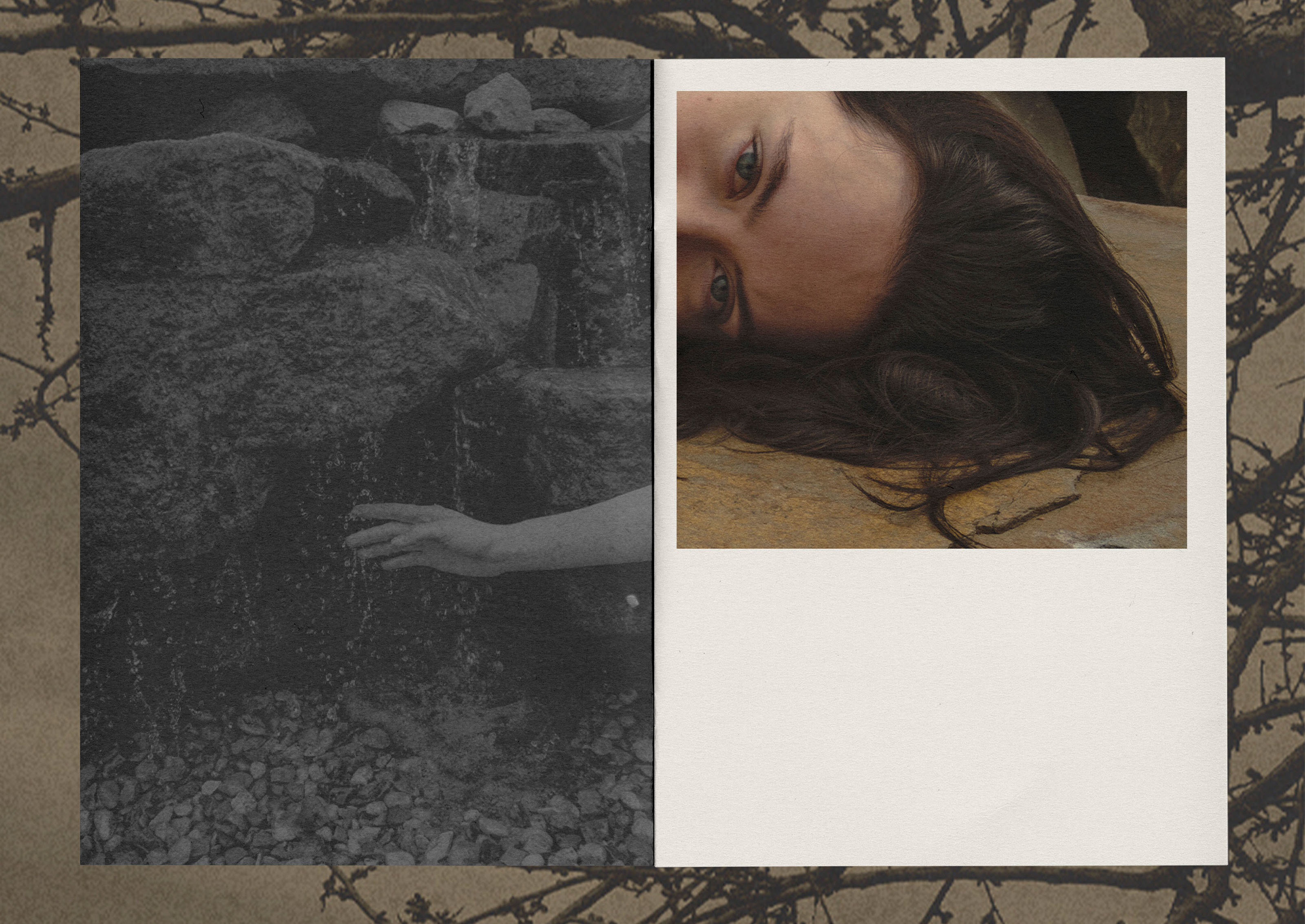 Koshik | Visual Identity — Изображение №22 — Брендинг, Графика на Dprofile