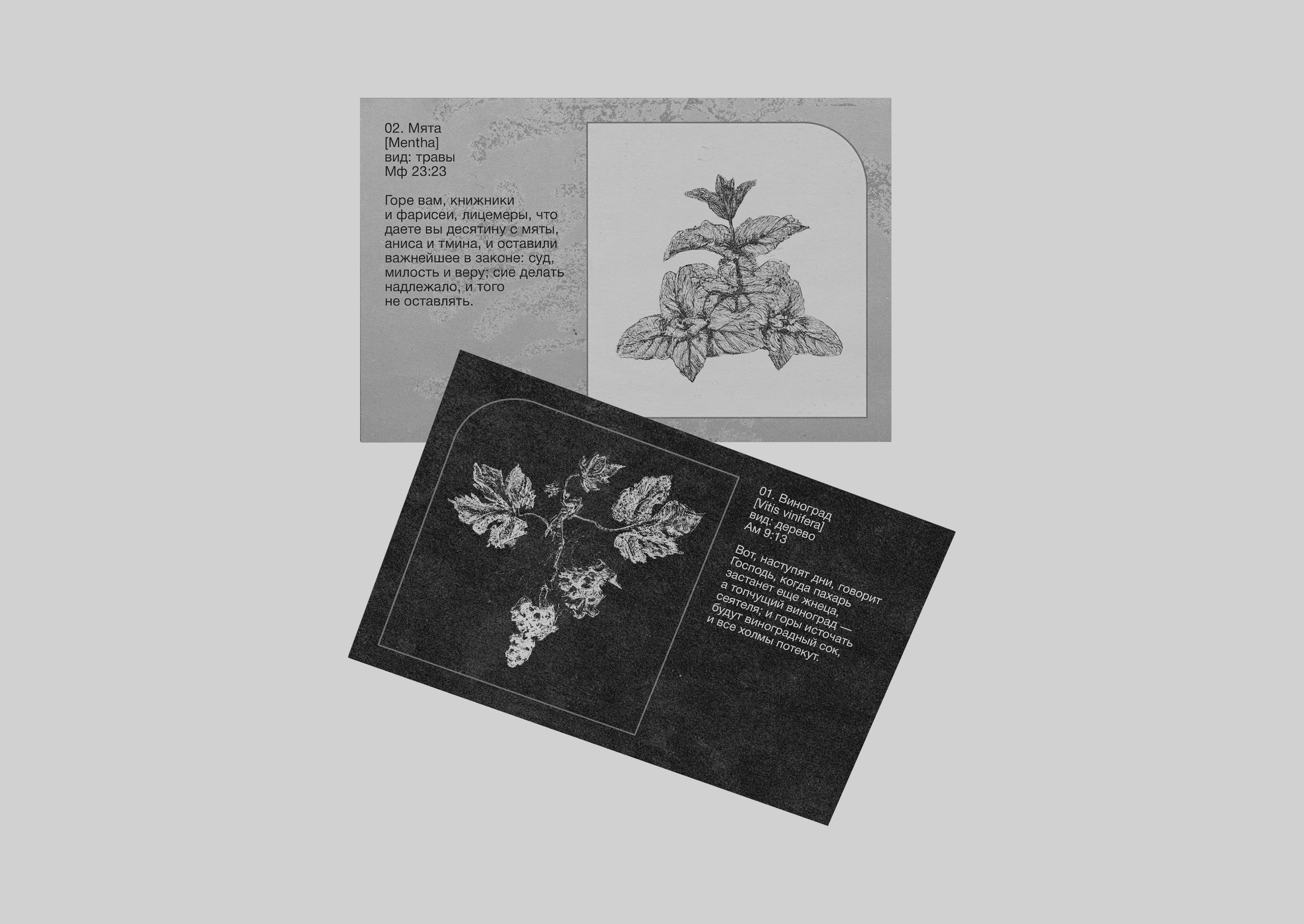 Hierobotanicon | Graphic Poster — Изображение №9 — Иллюстрация, Графика на Dprofile