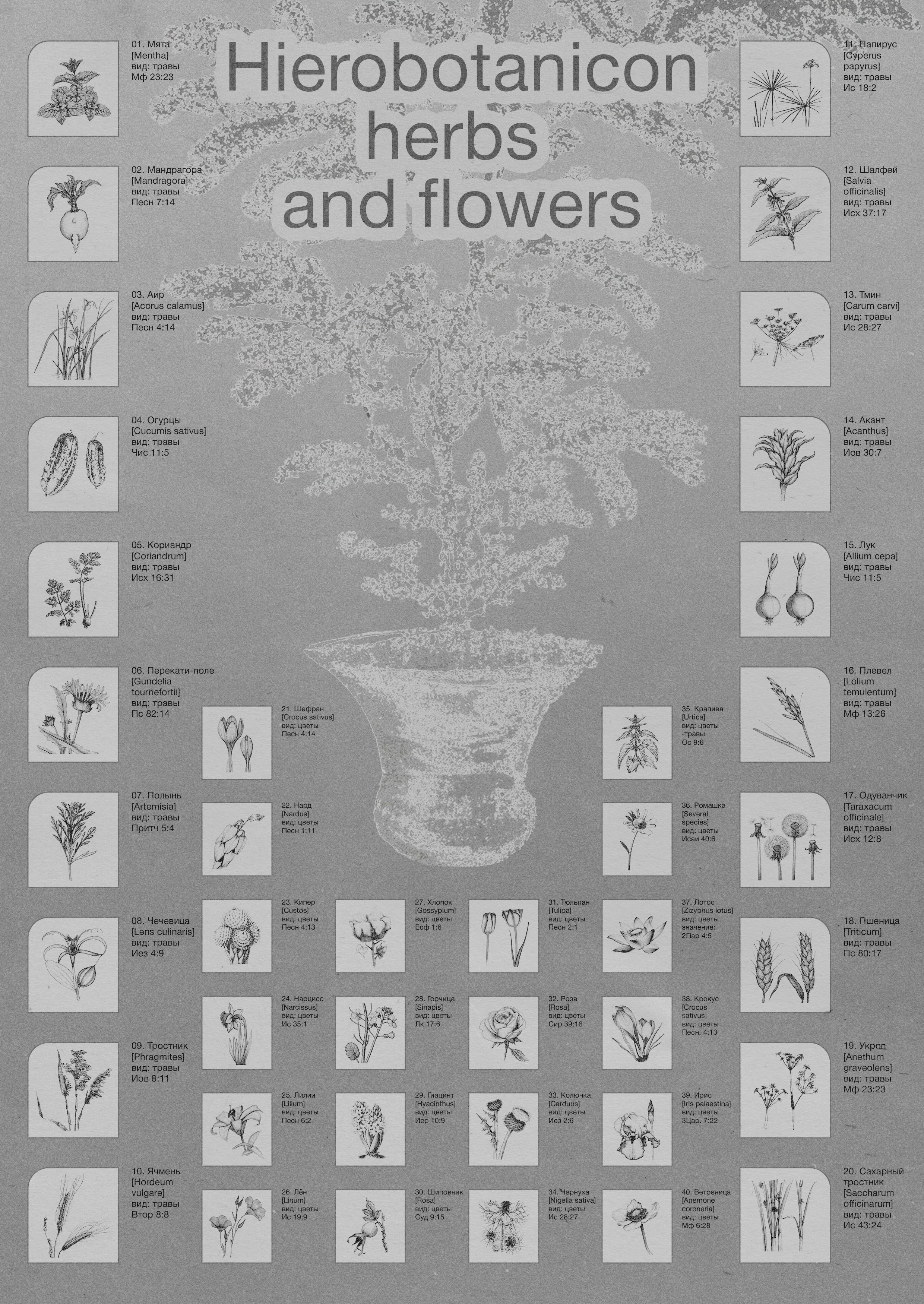 Hierobotanicon | Graphic Poster — Изображение №4 — Иллюстрация, Графика на Dprofile