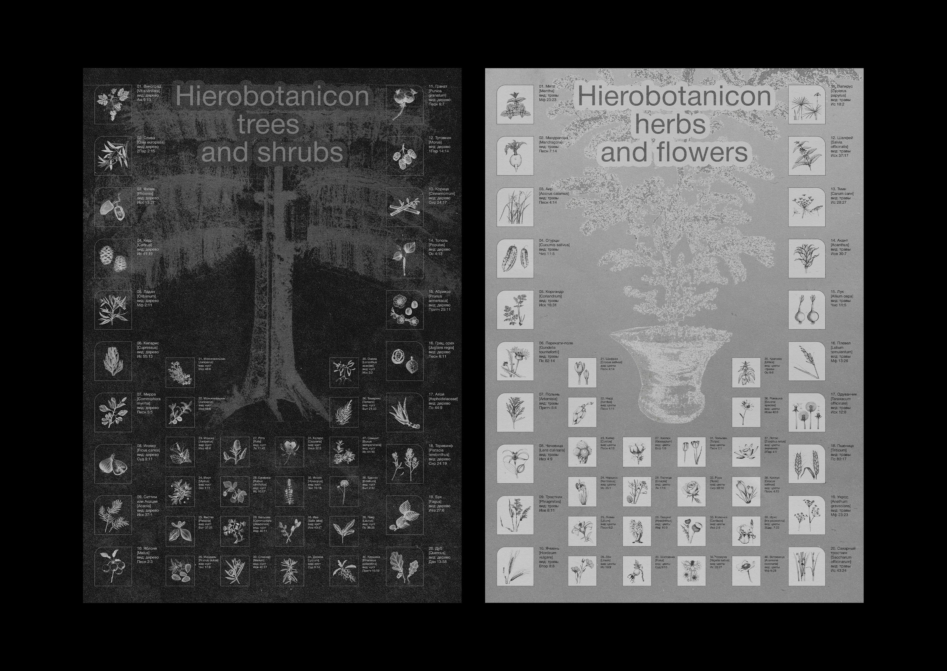 Hierobotanicon | Graphic Poster — Изображение №6 — Иллюстрация, Графика на Dprofile