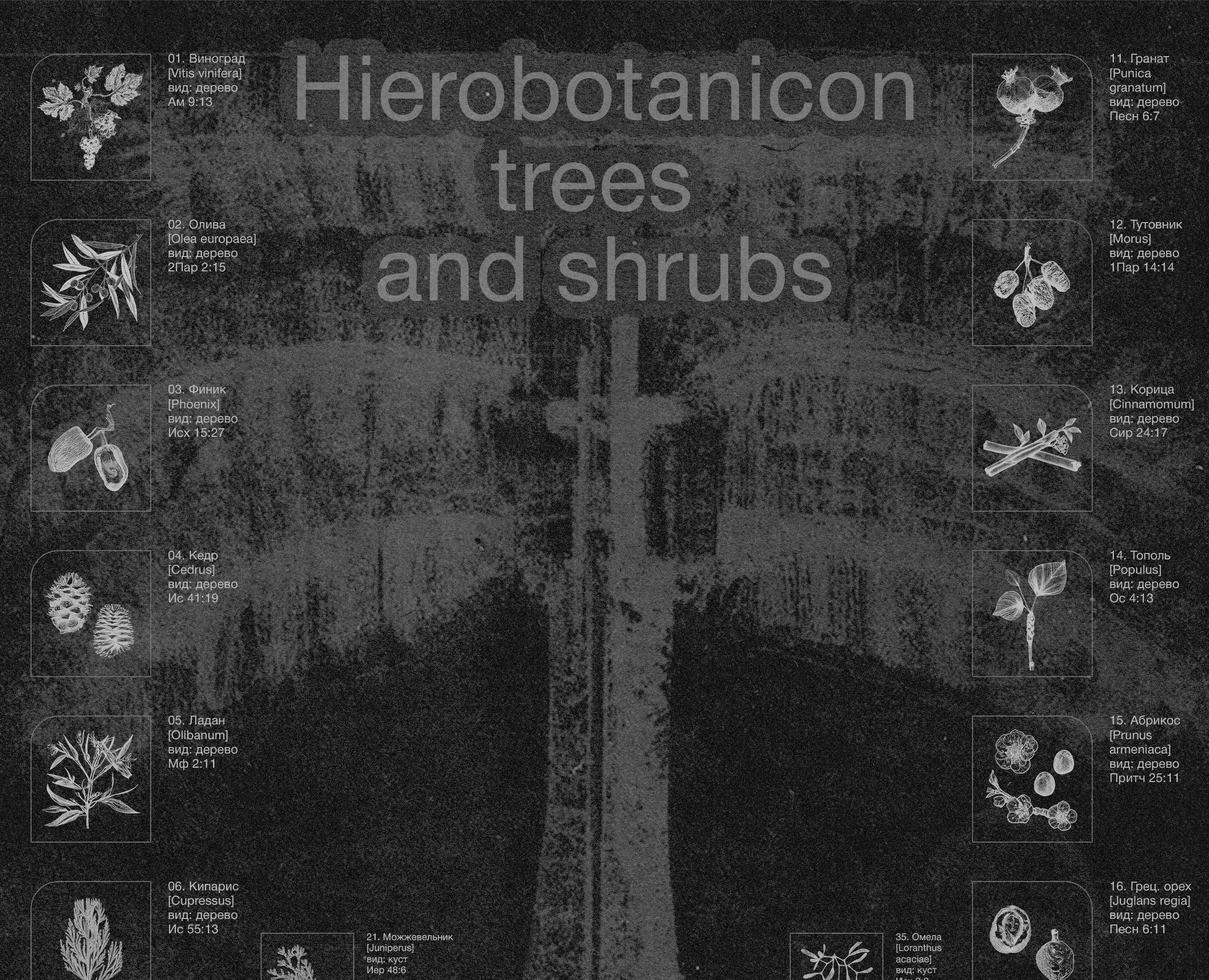 Hierobotanicon | Graphic Poster — Иллюстрация, Графика на Dprofile