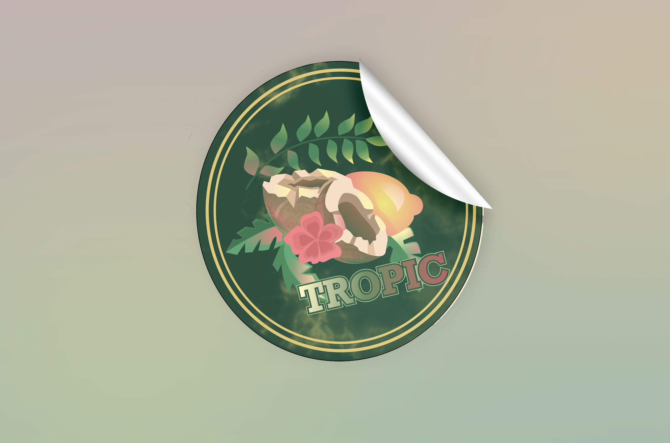Разработка этикетки для газированного напитка "TROPIC" — Изображение №4 — Иллюстрация, Графика на Dprofile