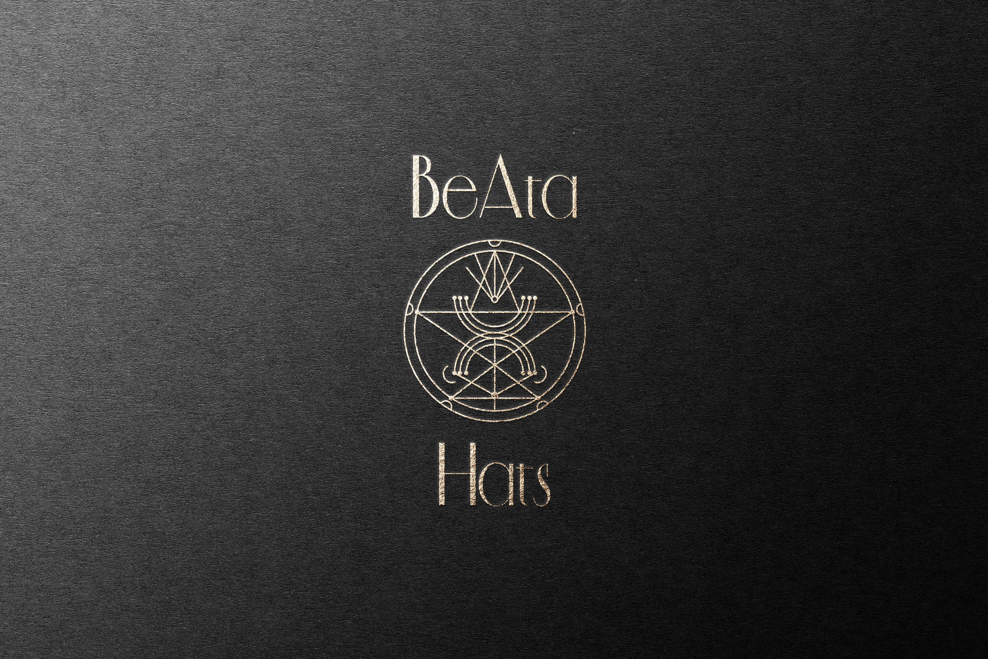 Beata Hats logo — Изображение №3 — Брендинг, Графика на Dprofile