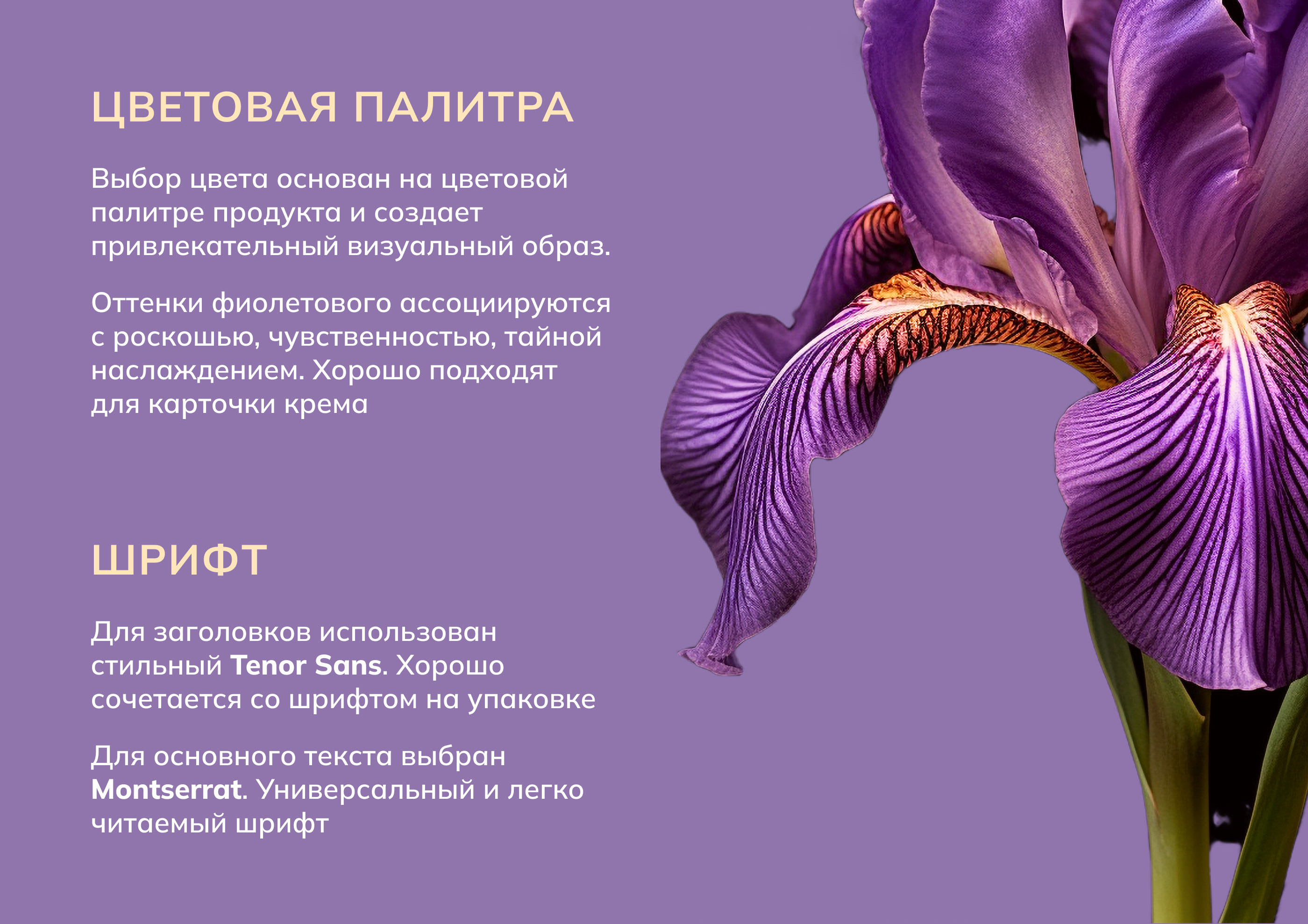 Дизайн инфографики. Карточка товара для косметики — Изображение №6 — Графика, Маркетинг на Dprofile