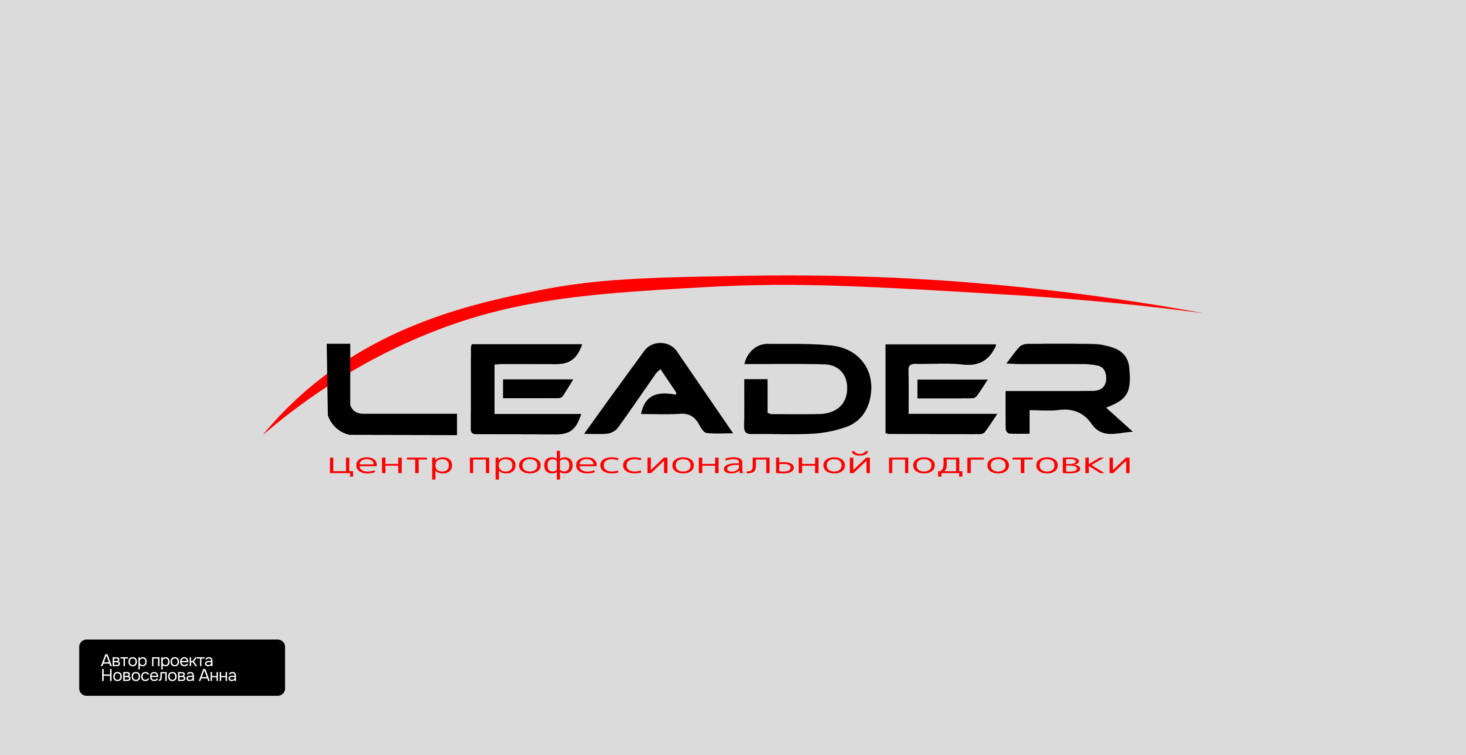 Leader — Изображение №1 — Брендинг на Dprofile