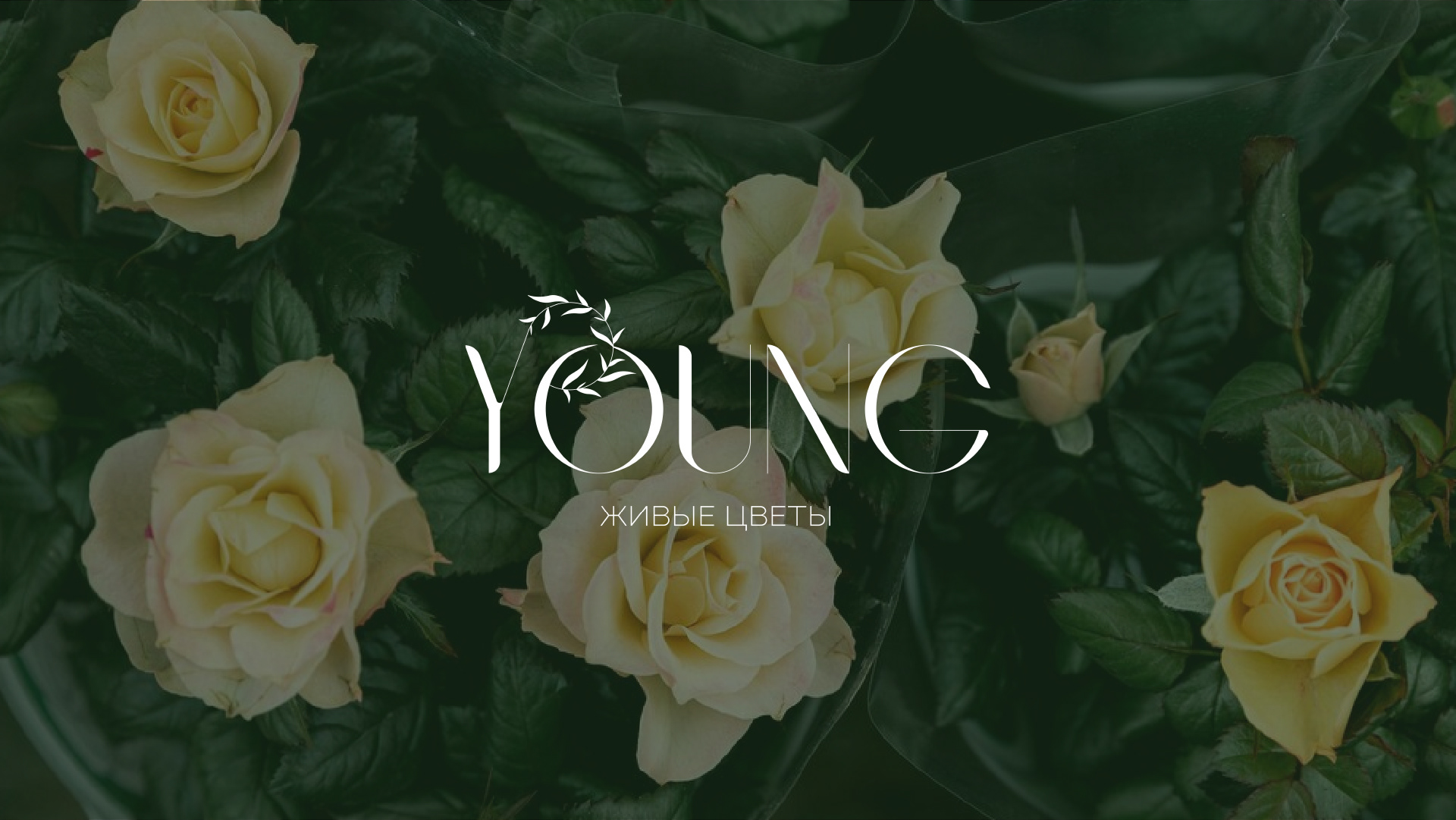 "Young" Студия цветов и подарков — Изображение №5 — Брендинг, Графика на Dprofile