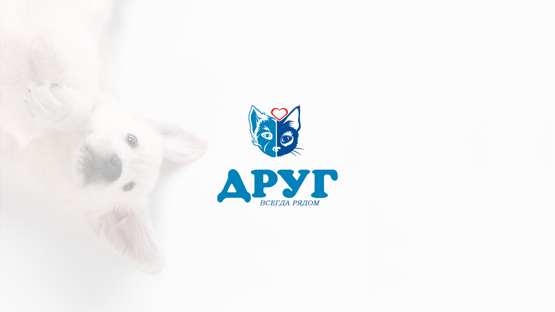 Ветеринарные клиники "Друг" г. Пермь — Изображение №1 — Брендинг, Иллюстрация на Dprofile