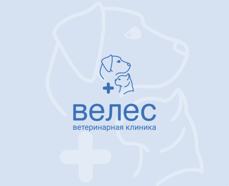 Ветеринарная клиника "Велес" на Dprofile