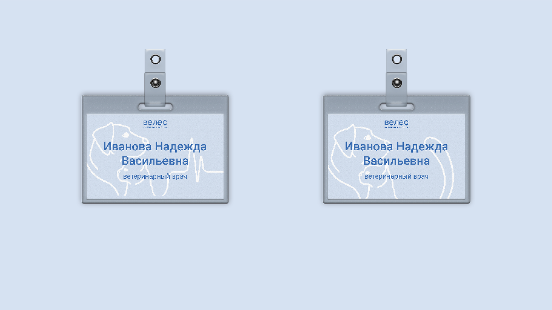 Ветеринарная клиника "Велес" — Изображение №15 — Брендинг, Иллюстрация на Dprofile