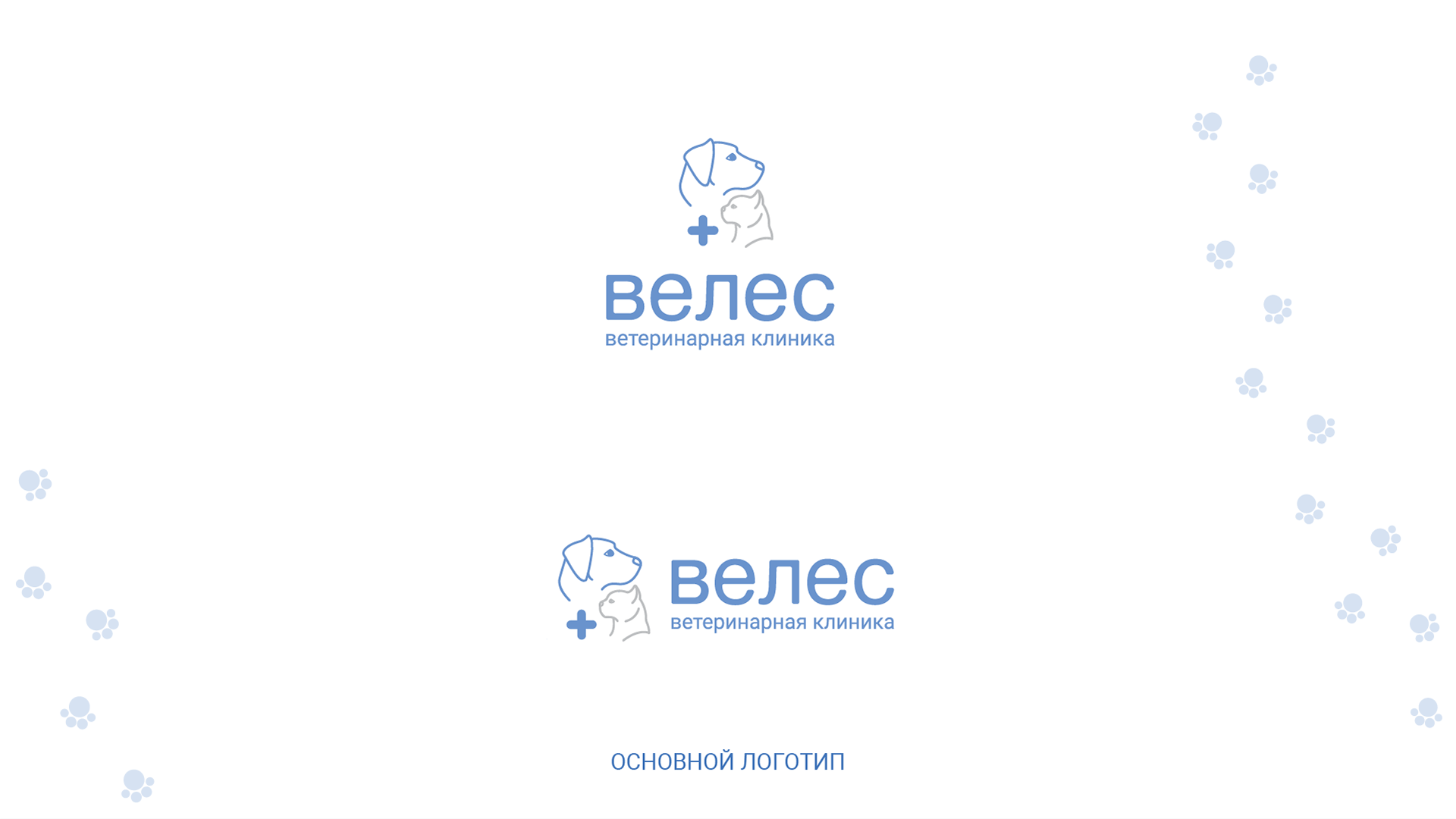 Ветеринарная клиника "Велес" — Изображение №2 — Брендинг, Иллюстрация на Dprofile