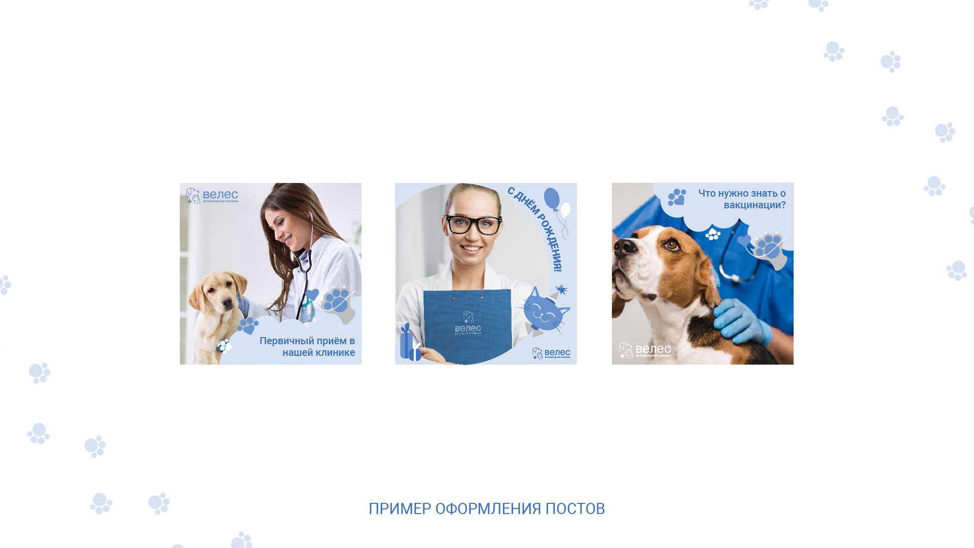 Ветеринарная клиника "Велес" — Изображение №7 — Брендинг, Иллюстрация на Dprofile