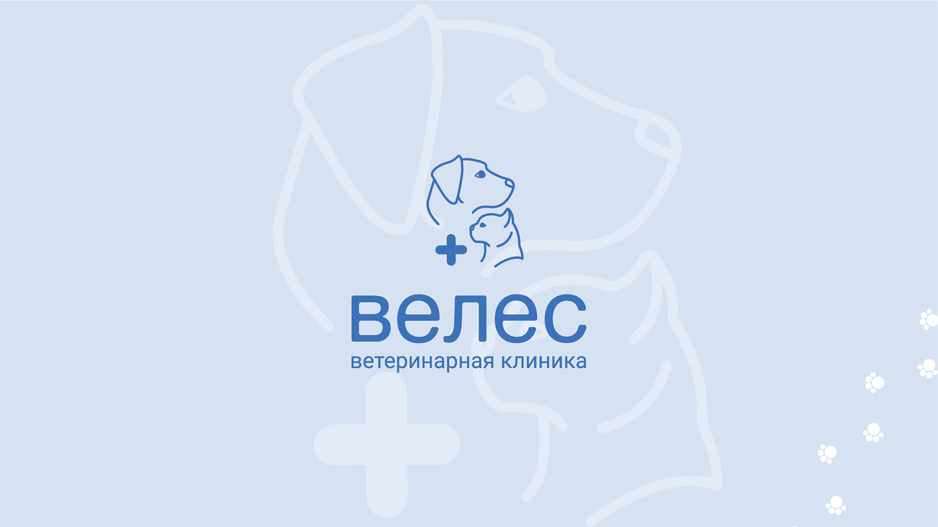 Ветеринарная клиника "Велес" — Изображение №1 — Брендинг, Иллюстрация на Dprofile