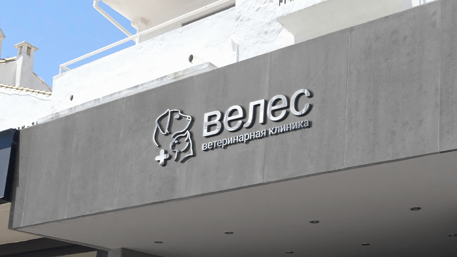 Ветеринарная клиника "Велес" — Изображение №11 — Брендинг, Иллюстрация на Dprofile