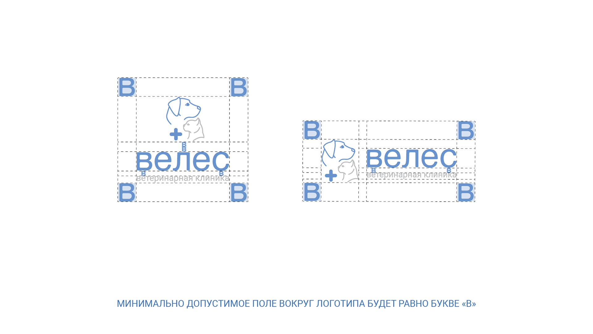 Ветеринарная клиника "Велес" — Изображение №5 — Брендинг, Иллюстрация на Dprofile