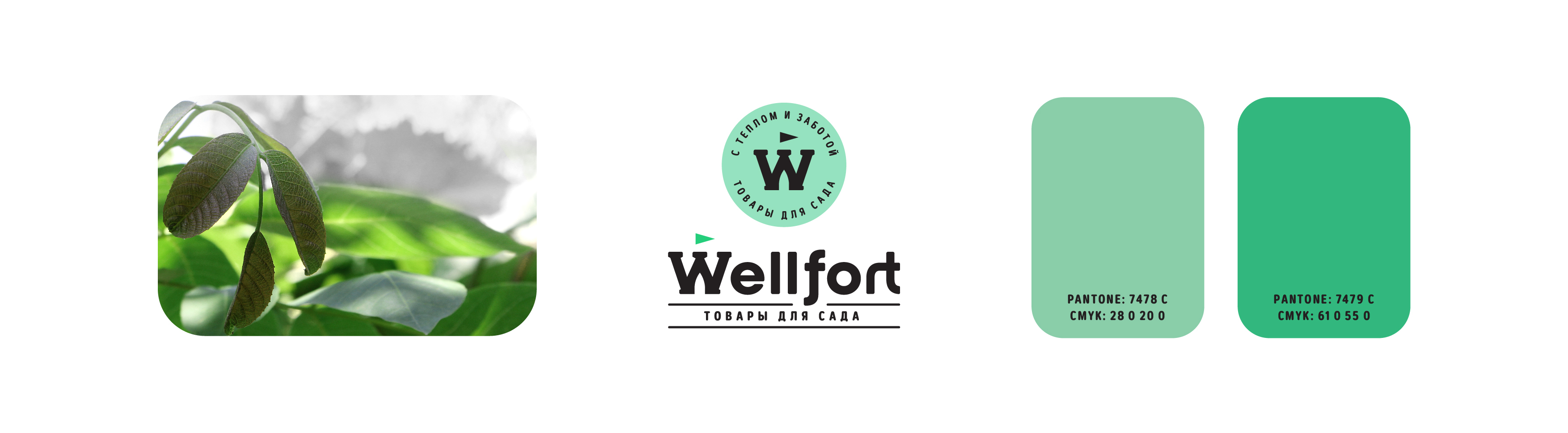 Wellfort — Изображение №12 — Брендинг на Dprofile