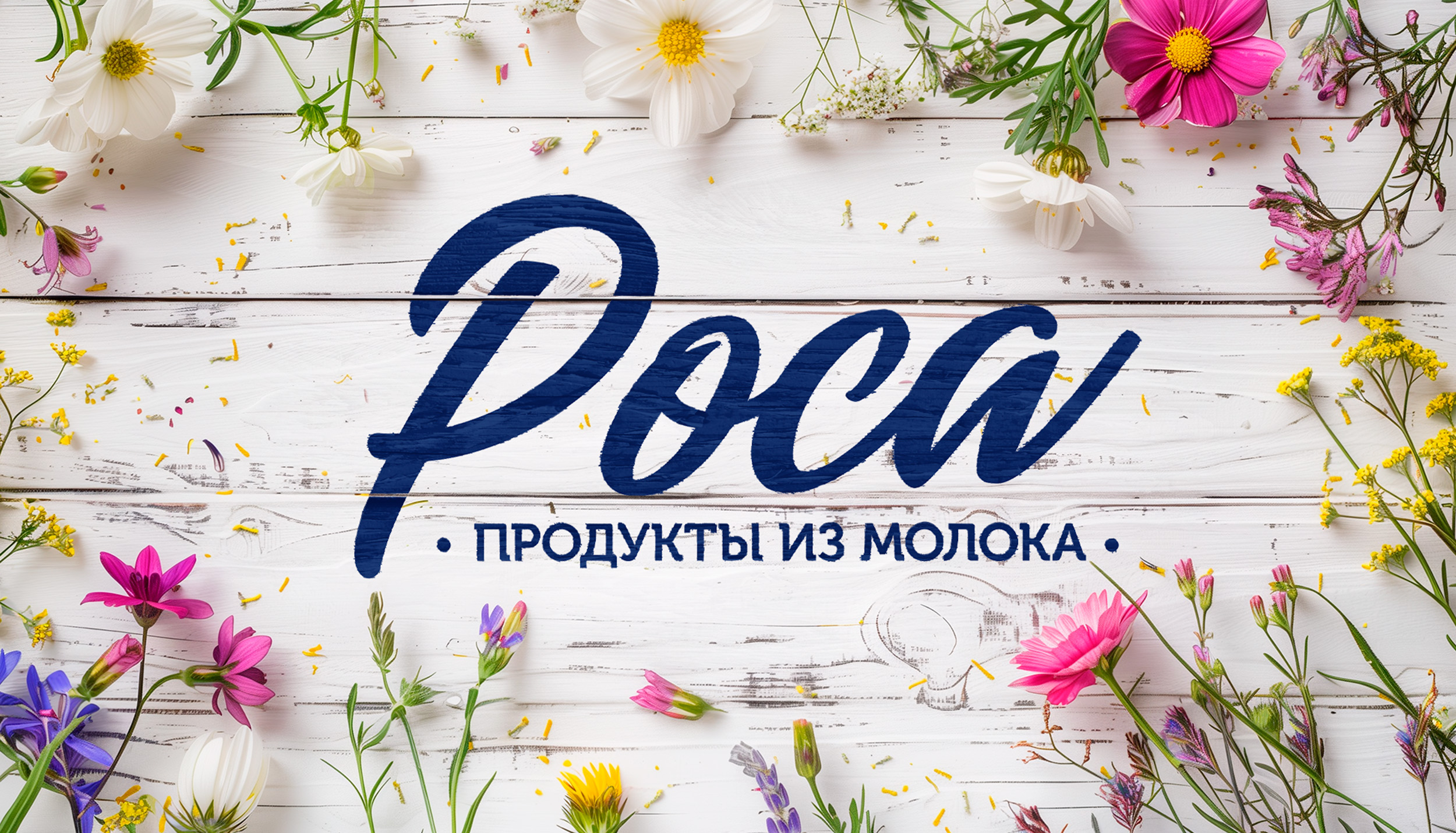Масштабный редизайн бренда молочной продукции «Роса» — Изображение №1 — Брендинг, Маркетинг на Dprofile