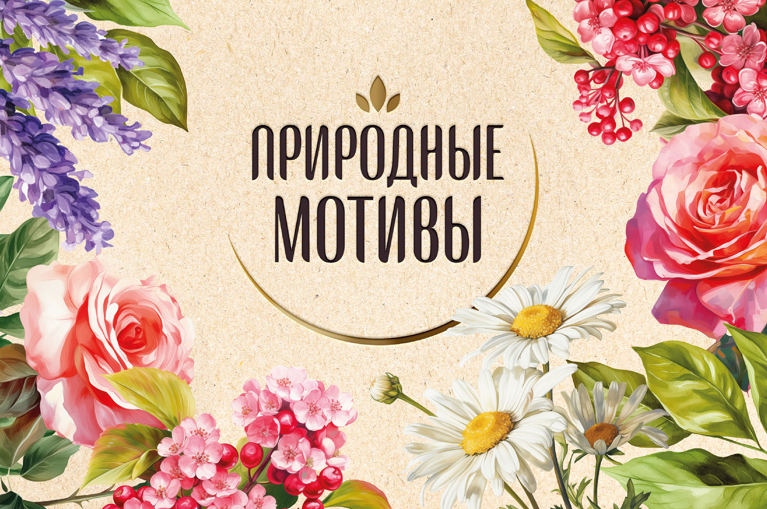 Разработка бренда натуральной косметики «Природные мотивы» — Изображение №1 — Брендинг на Dprofile