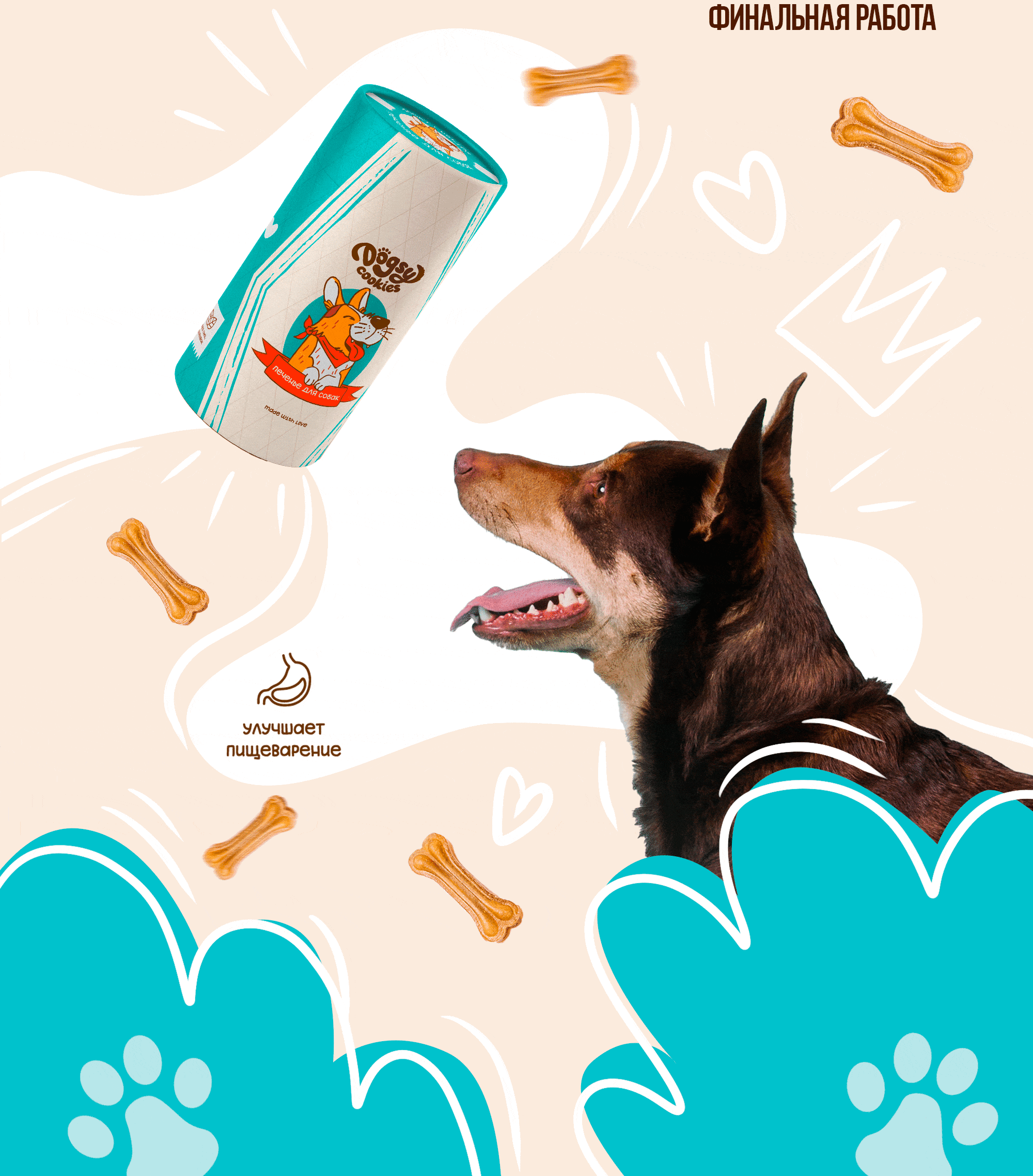 DOGSY Иллюстрация и дизайн упаковки печенья для собак — Изображение №11 — Брендинг, Иллюстрация на Dprofile