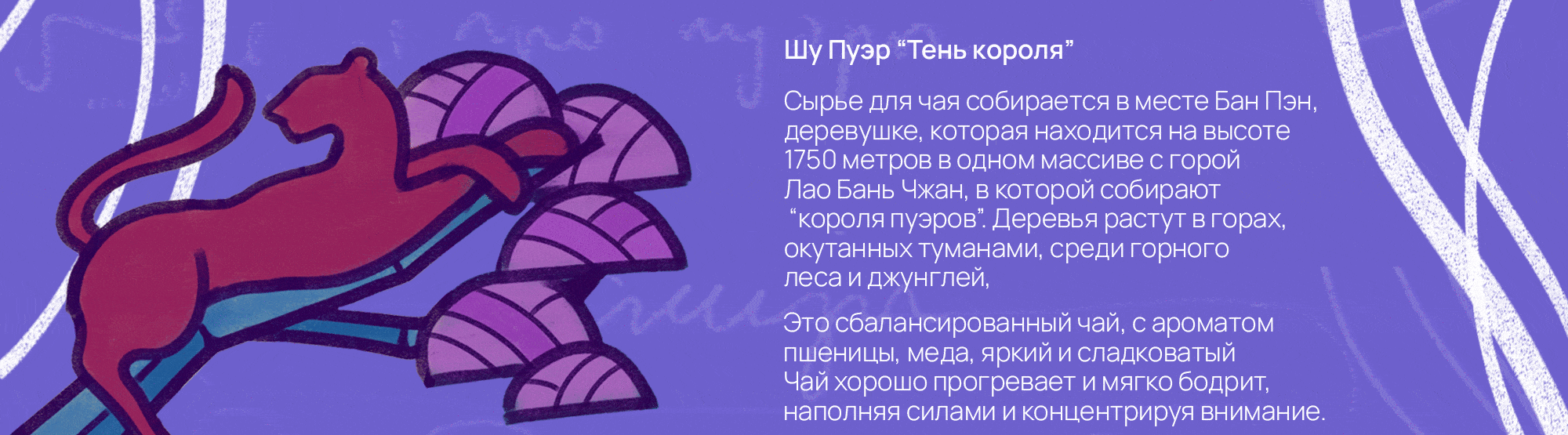 Иллюстрации для упаковки чая Neva — Изображение №3 — Брендинг, Иллюстрация на Dprofile
