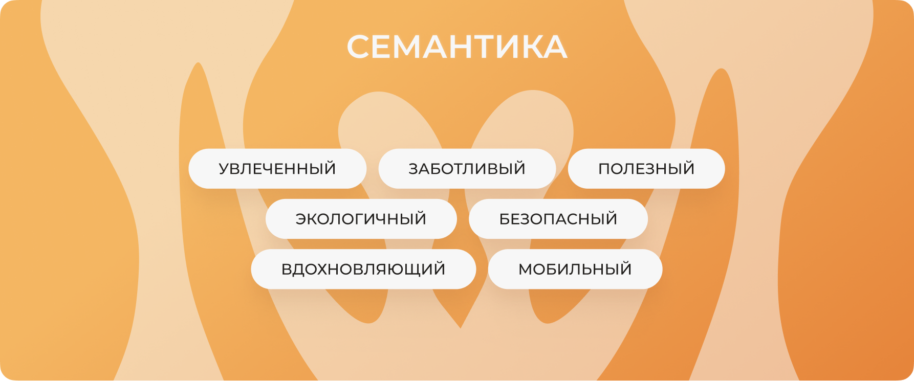 Сайт медиа для грибников MUSHBOOM — Изображение №4 — Интерфейсы, Брендинг на Dprofile