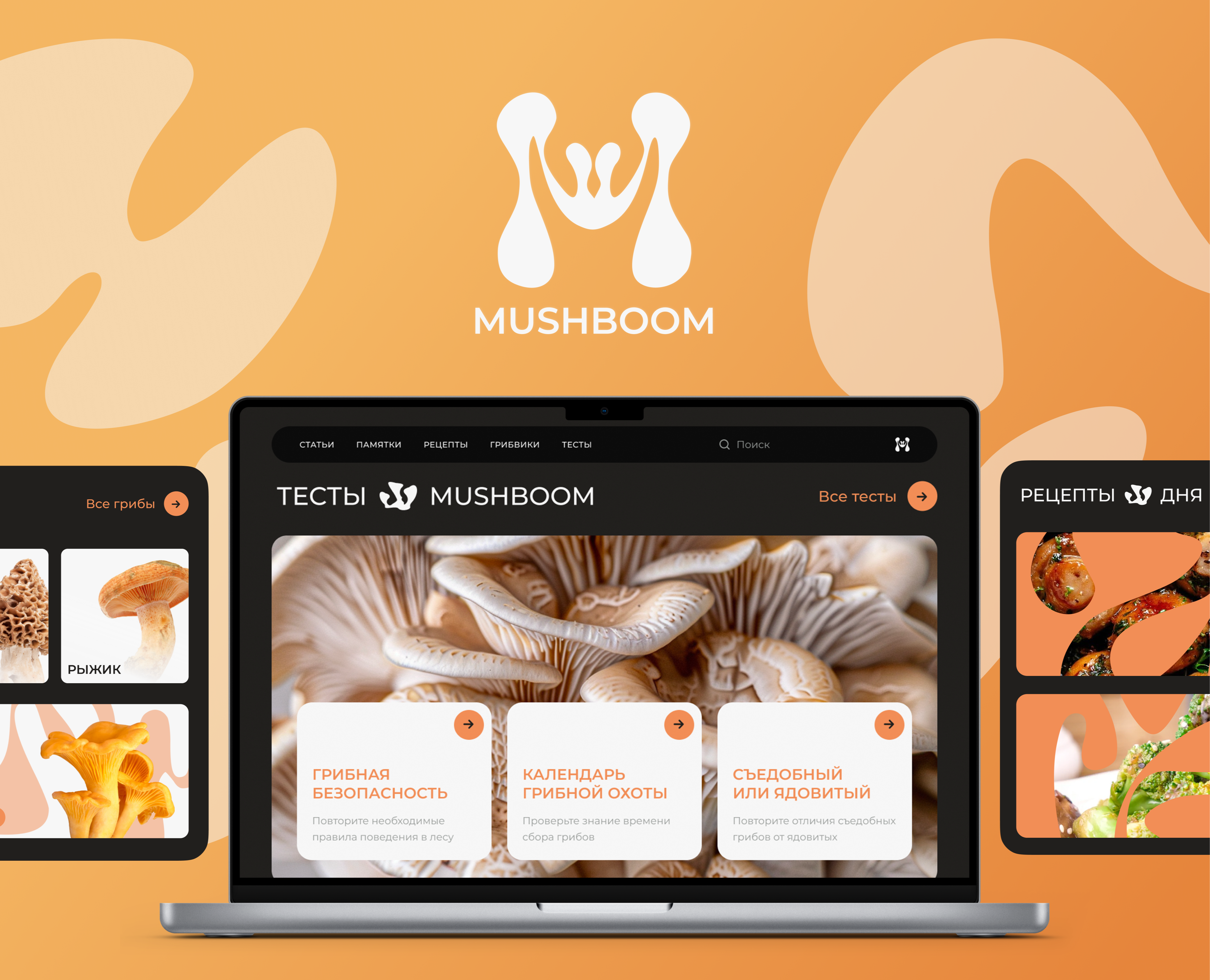 Сайт медиа для грибников MUSHBOOM — Интерфейсы, Брендинг на Dprofile