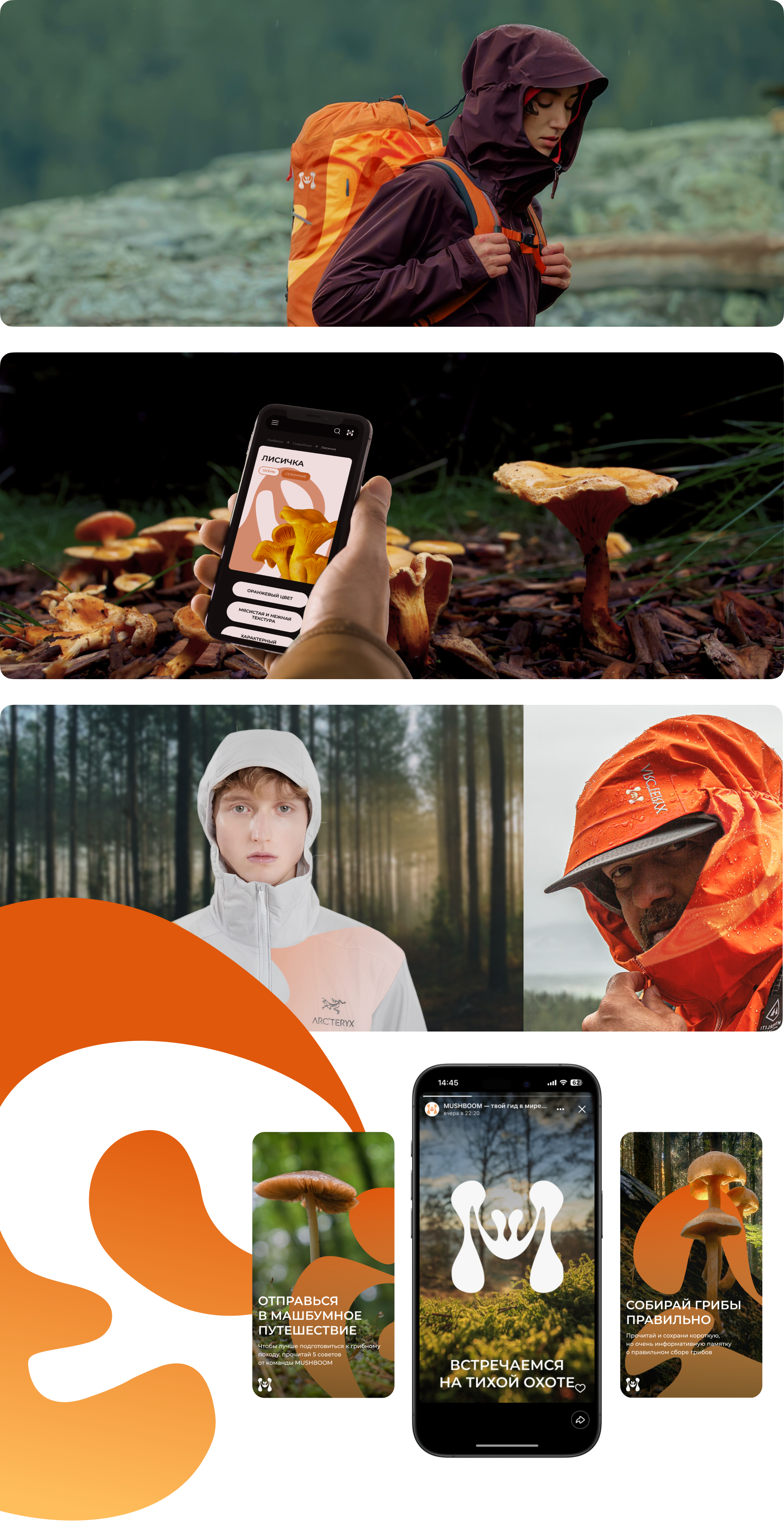 Сайт медиа для грибников MUSHBOOM — Изображение №10 — Интерфейсы, Брендинг на Dprofile