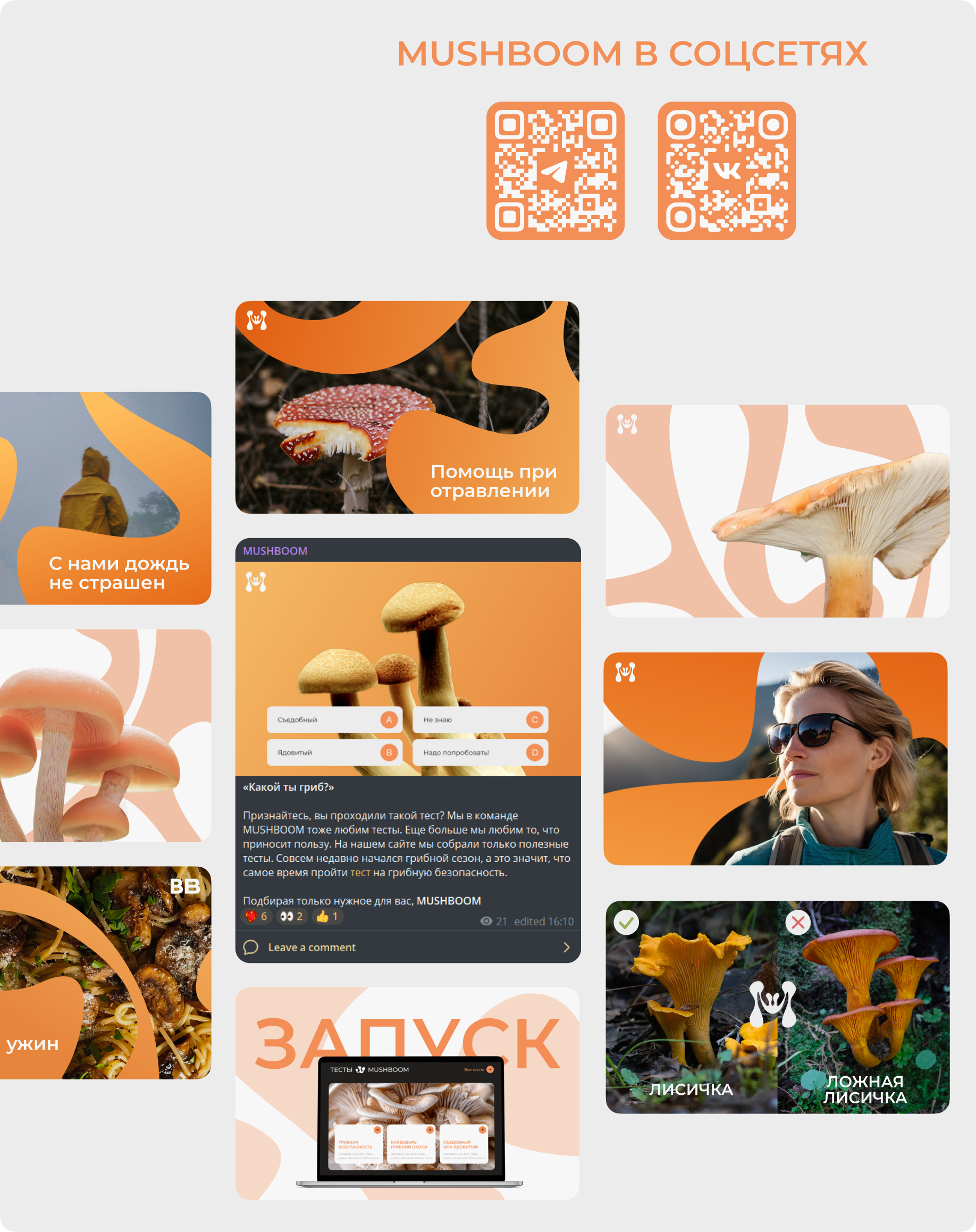 Сайт медиа для грибников MUSHBOOM — Изображение №11 — Интерфейсы, Брендинг на Dprofile
