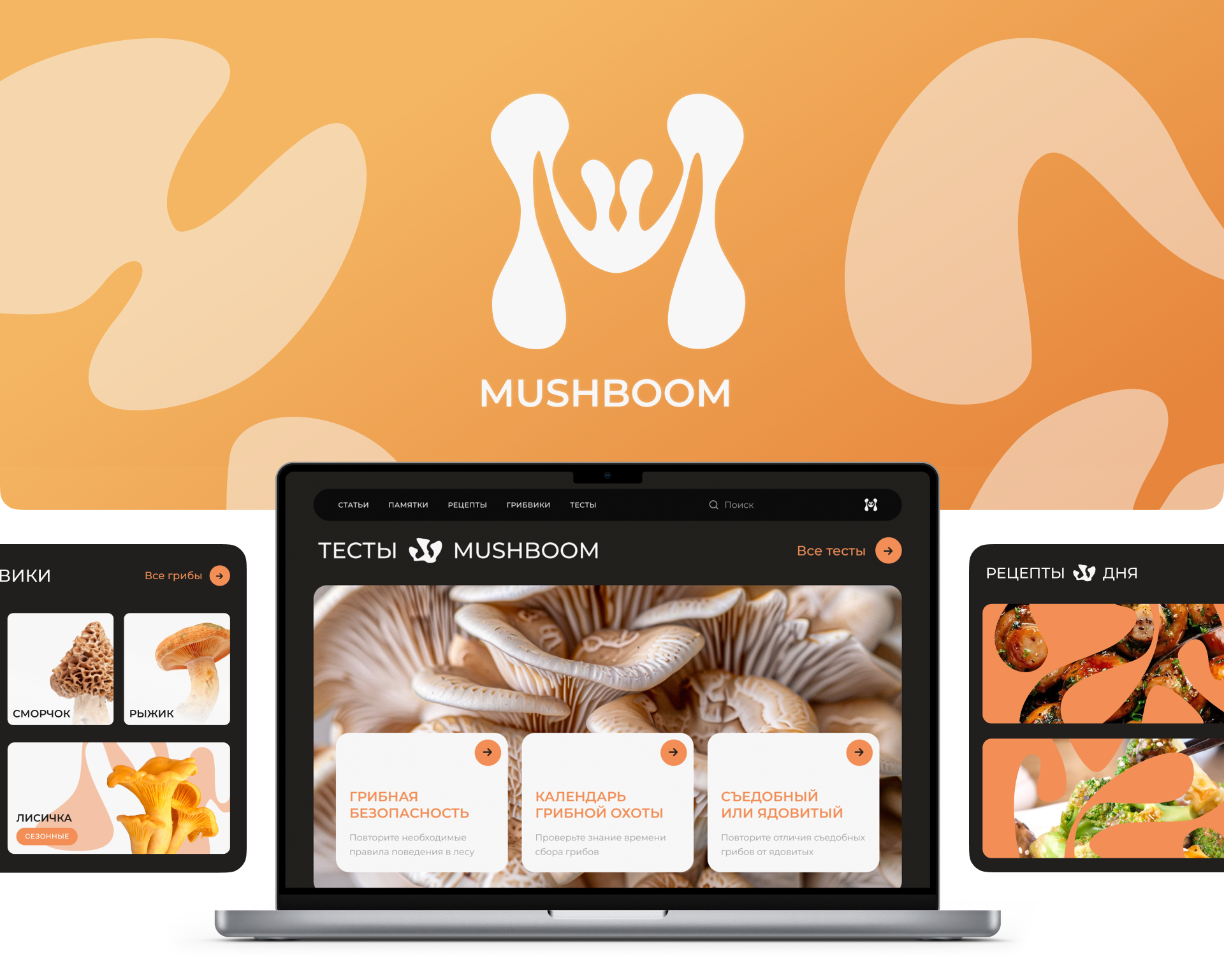 Сайт медиа для грибников MUSHBOOM — Изображение №1 — Интерфейсы, Брендинг на Dprofile