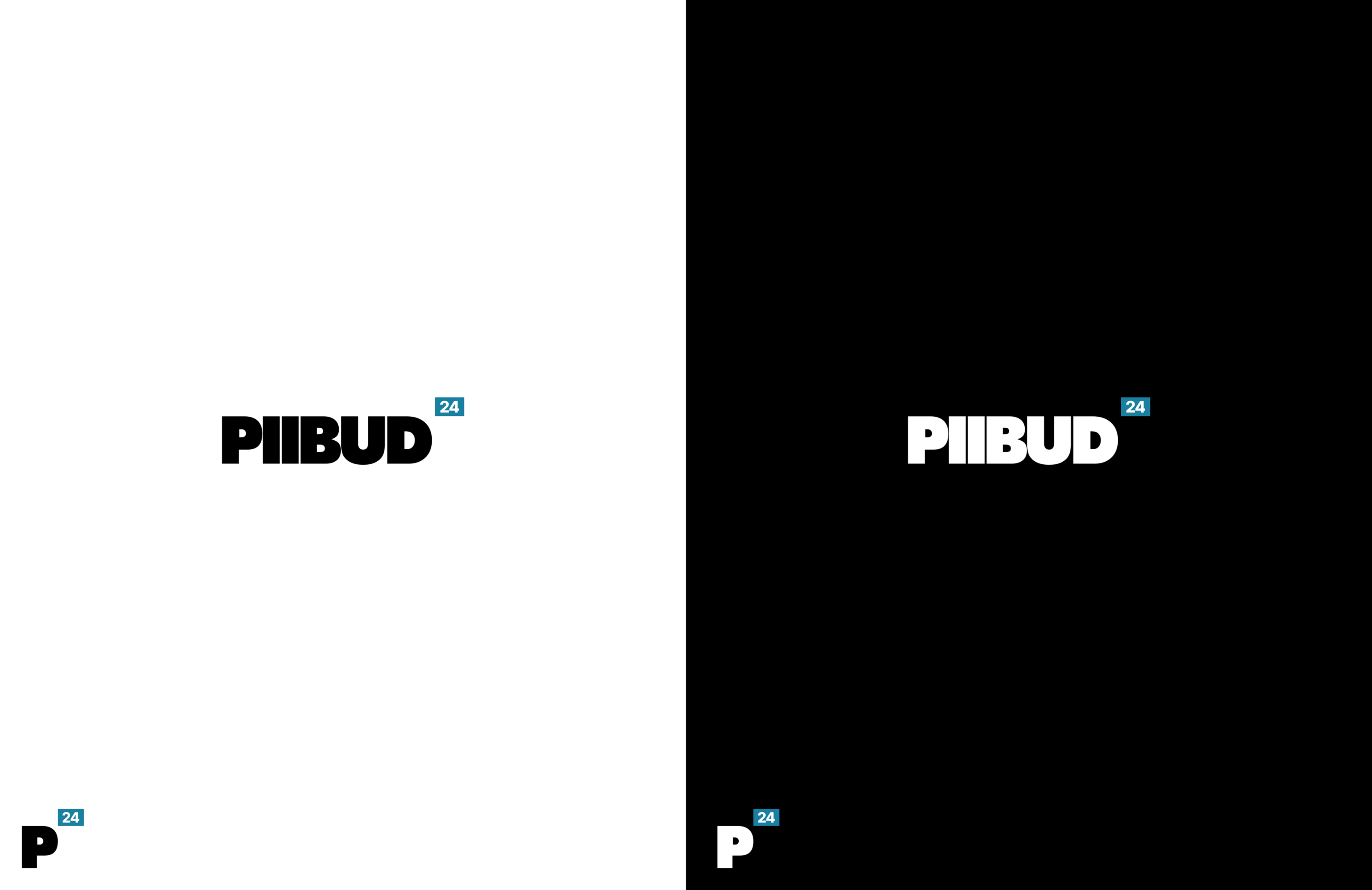 Piibud 24 branding — Изображение №4 — Брендинг на Dprofile