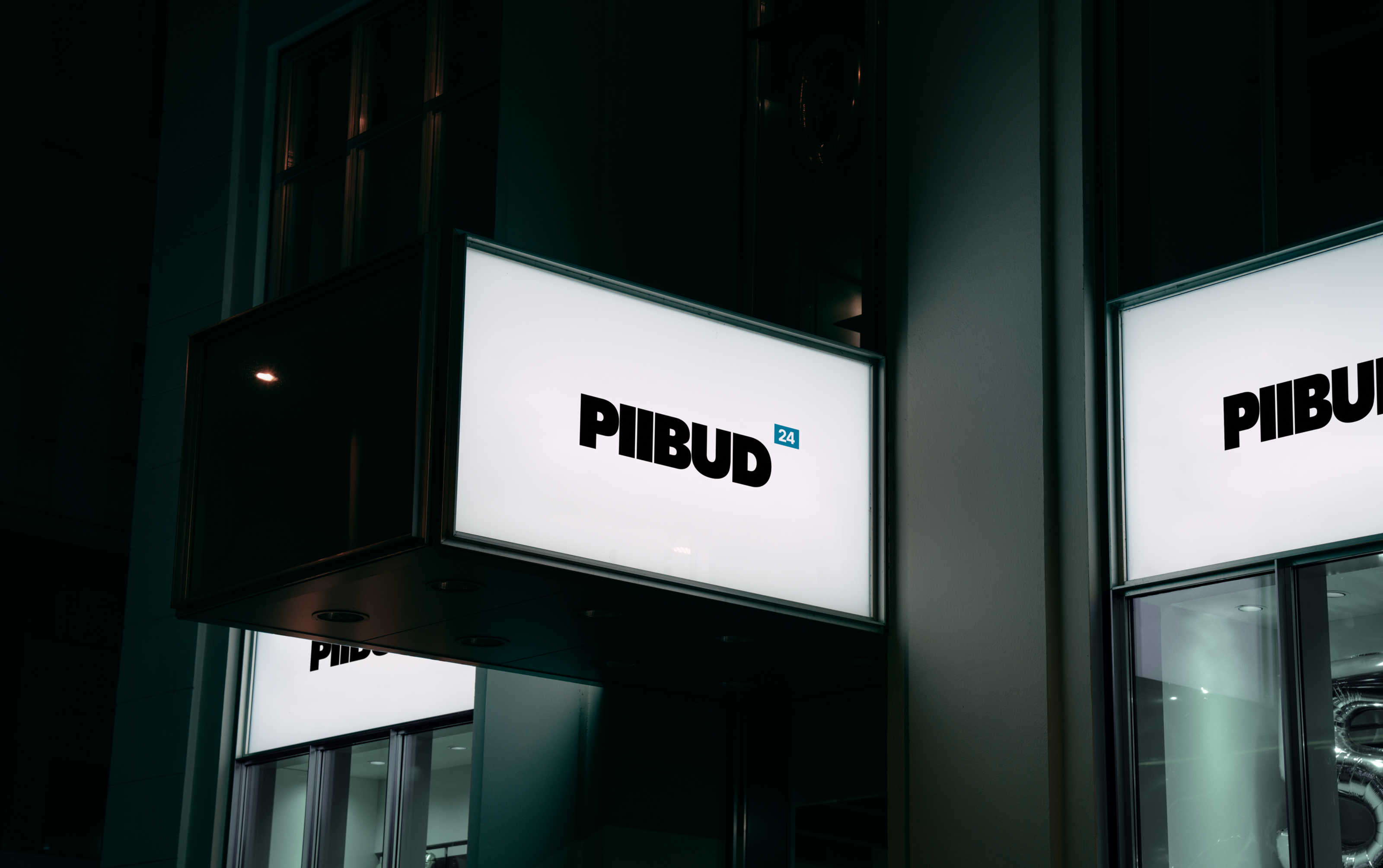Piibud 24 branding — Изображение №18 — Брендинг на Dprofile