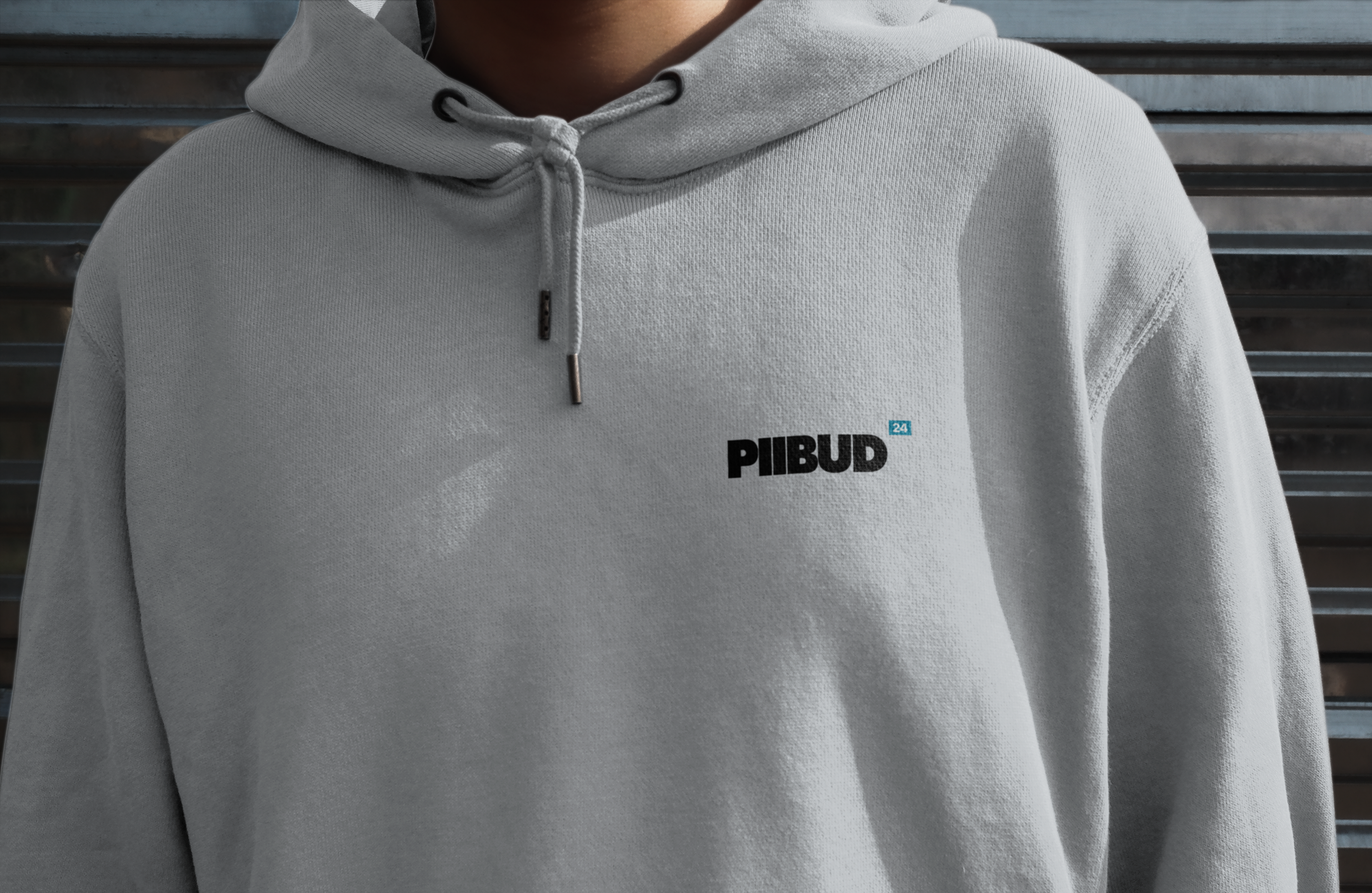 Piibud 24 branding — Изображение №2 — Брендинг на Dprofile