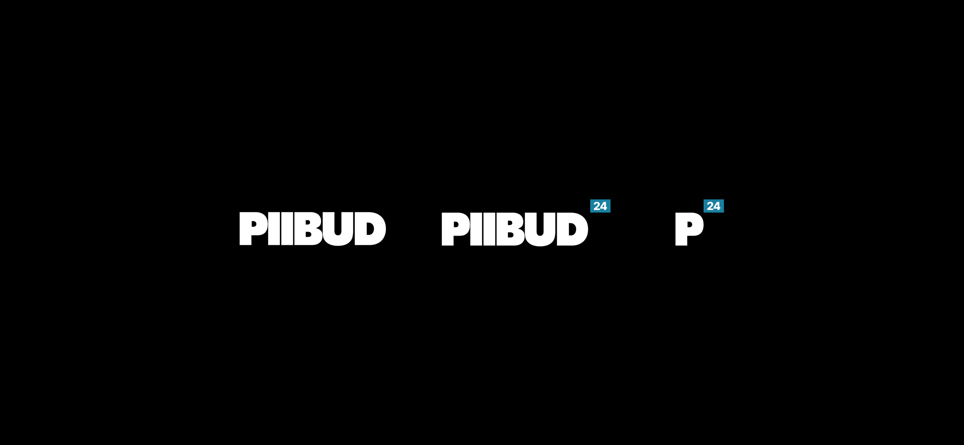 Piibud 24 branding — Изображение №5 — Брендинг на Dprofile