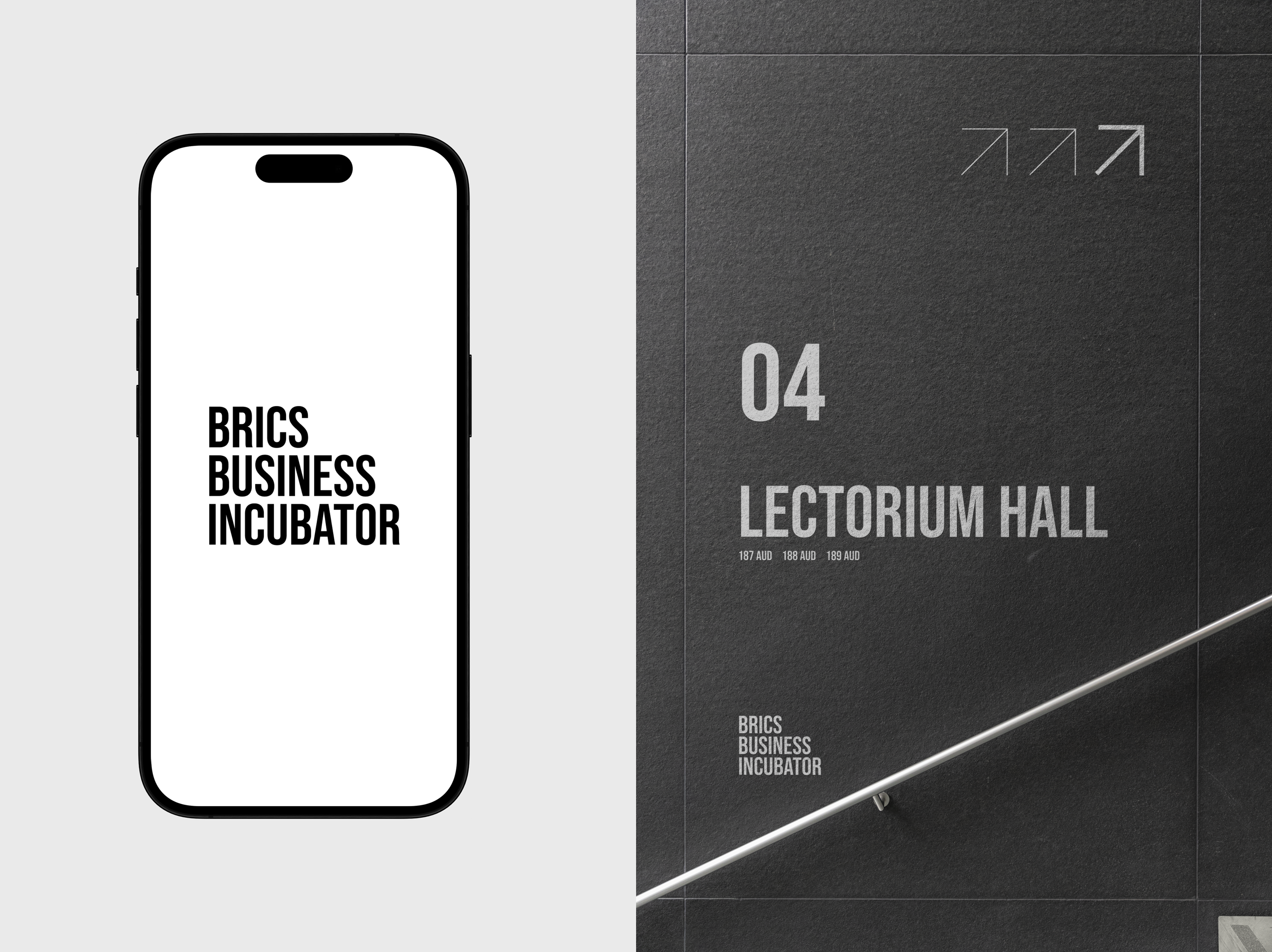 BRICS business incubator brand design — Изображение №13 — Брендинг на Dprofile