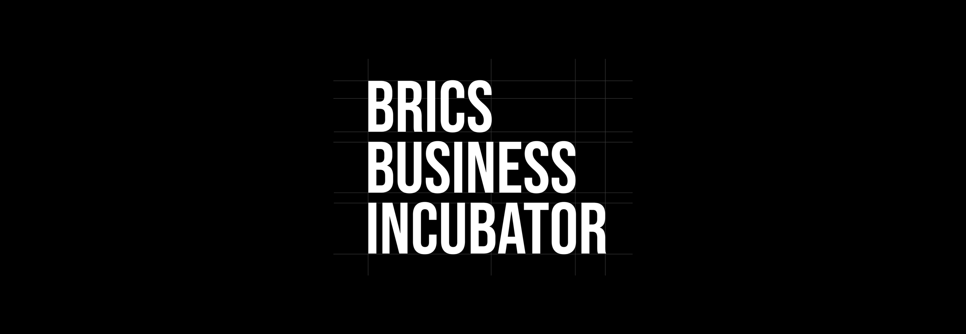 BRICS business incubator brand design — Изображение №3 — Брендинг на Dprofile