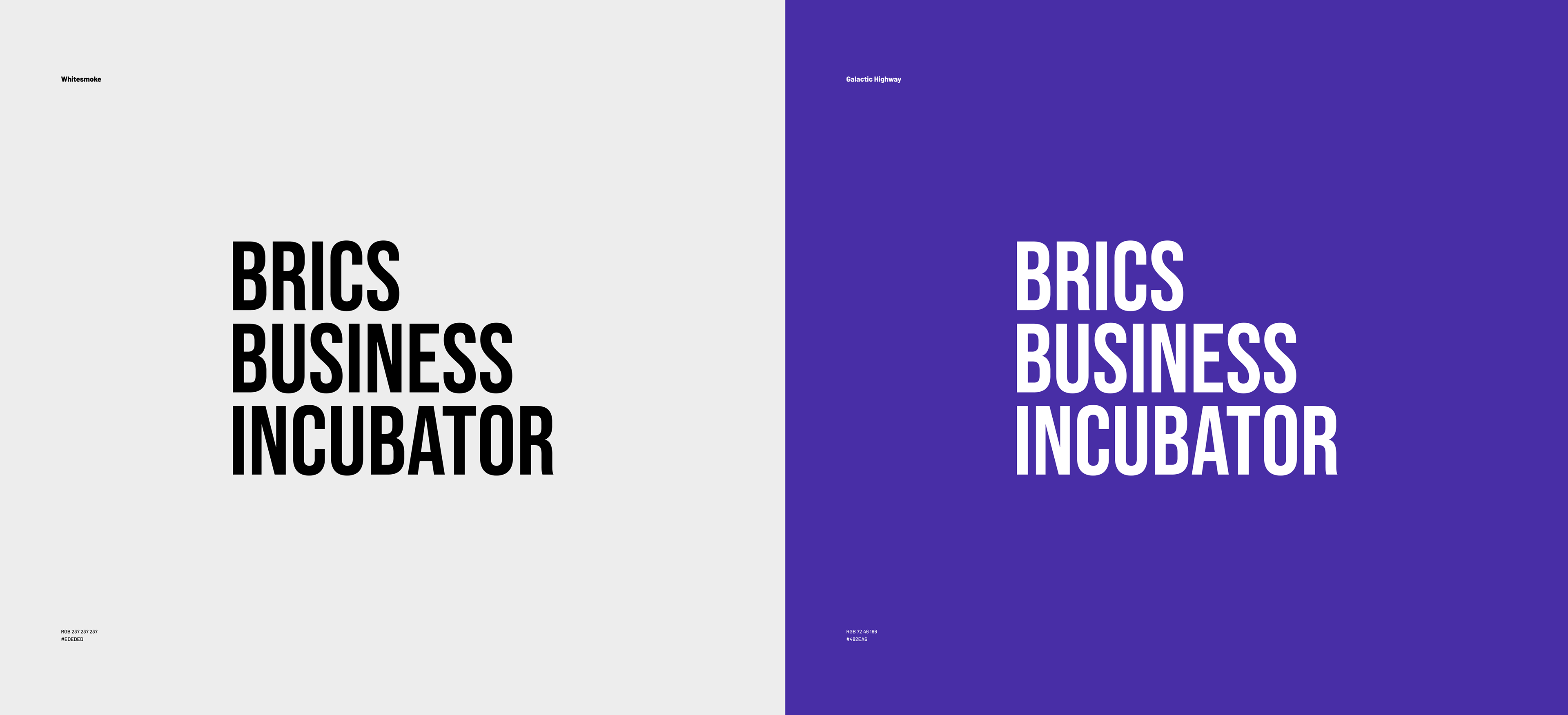 BRICS business incubator brand design — Изображение №5 — Брендинг на Dprofile