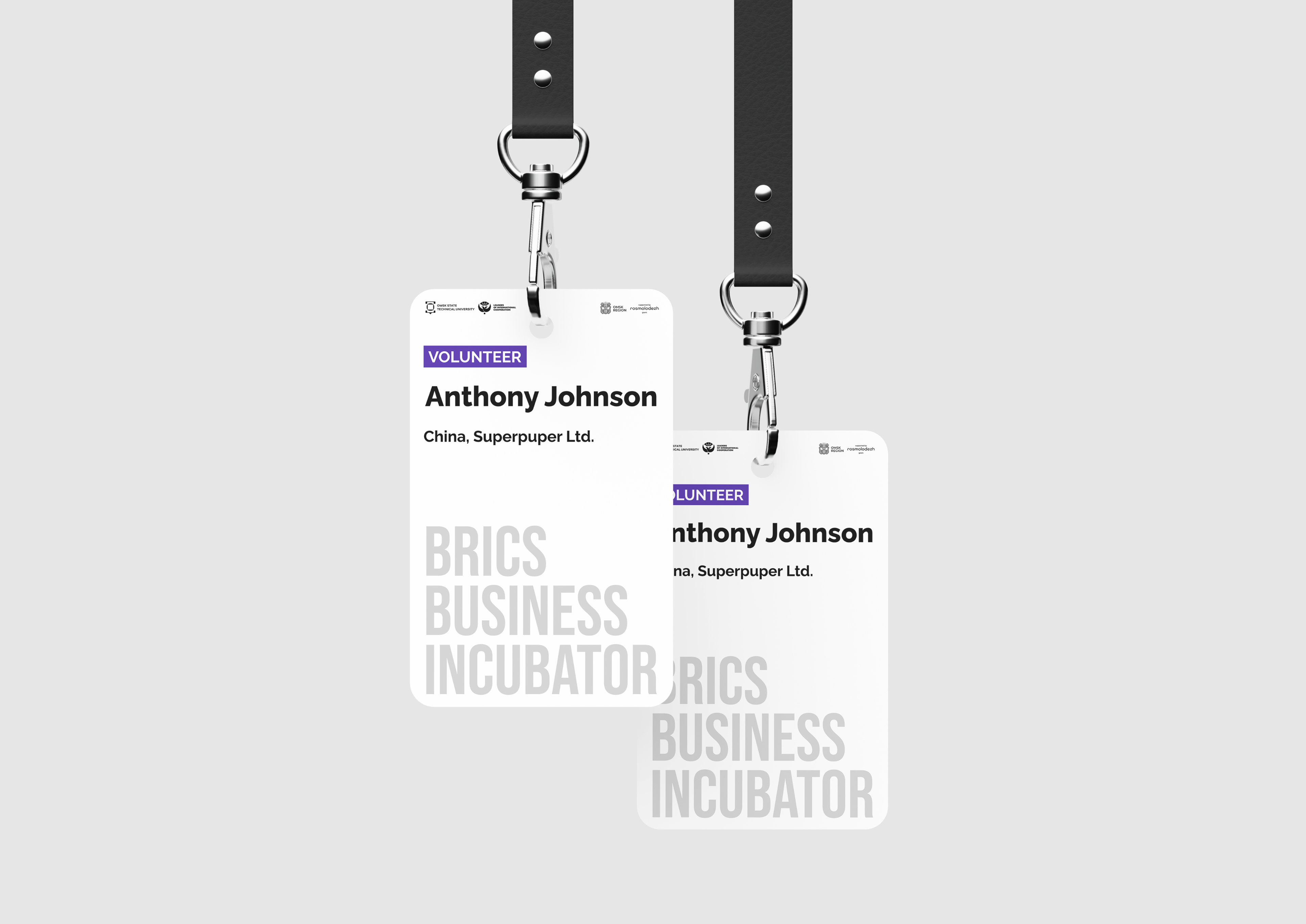 BRICS business incubator brand design — Изображение №8 — Брендинг на Dprofile