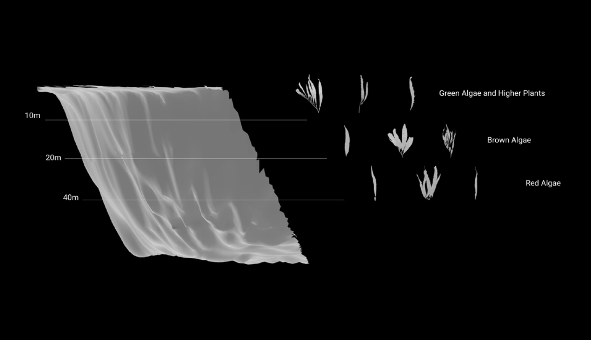 The Black Sea Depth Data — Изображение №10 — Графика, 3D на Dprofile