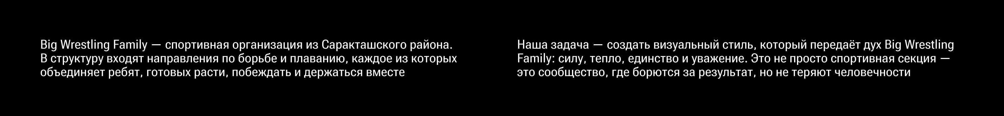 Big Wrestling Family — Изображение №2 — Брендинг на Dprofile