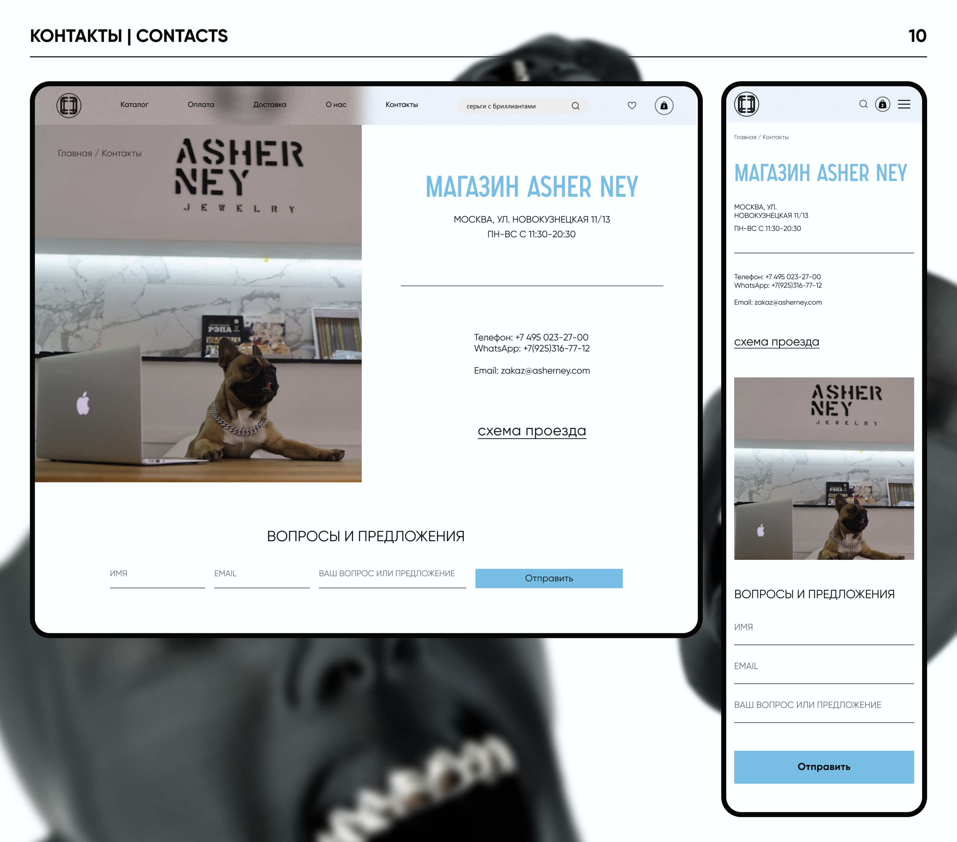 ASHER NEY | E-COMMERCE — Изображение №10 — Интерфейсы на Dprofile