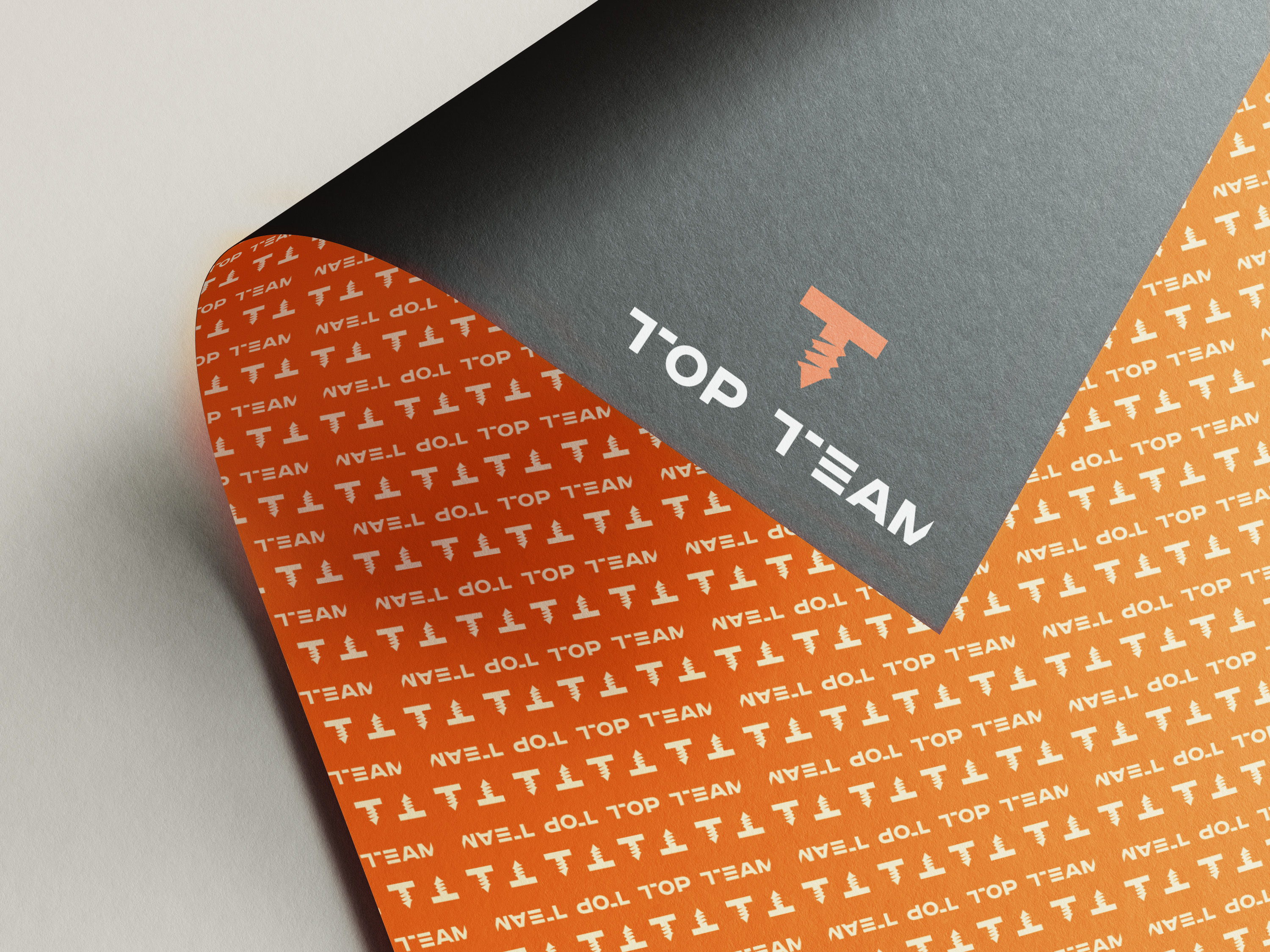 Branding for a renovation company Top Team — Изображение №2 — Брендинг на Dprofile