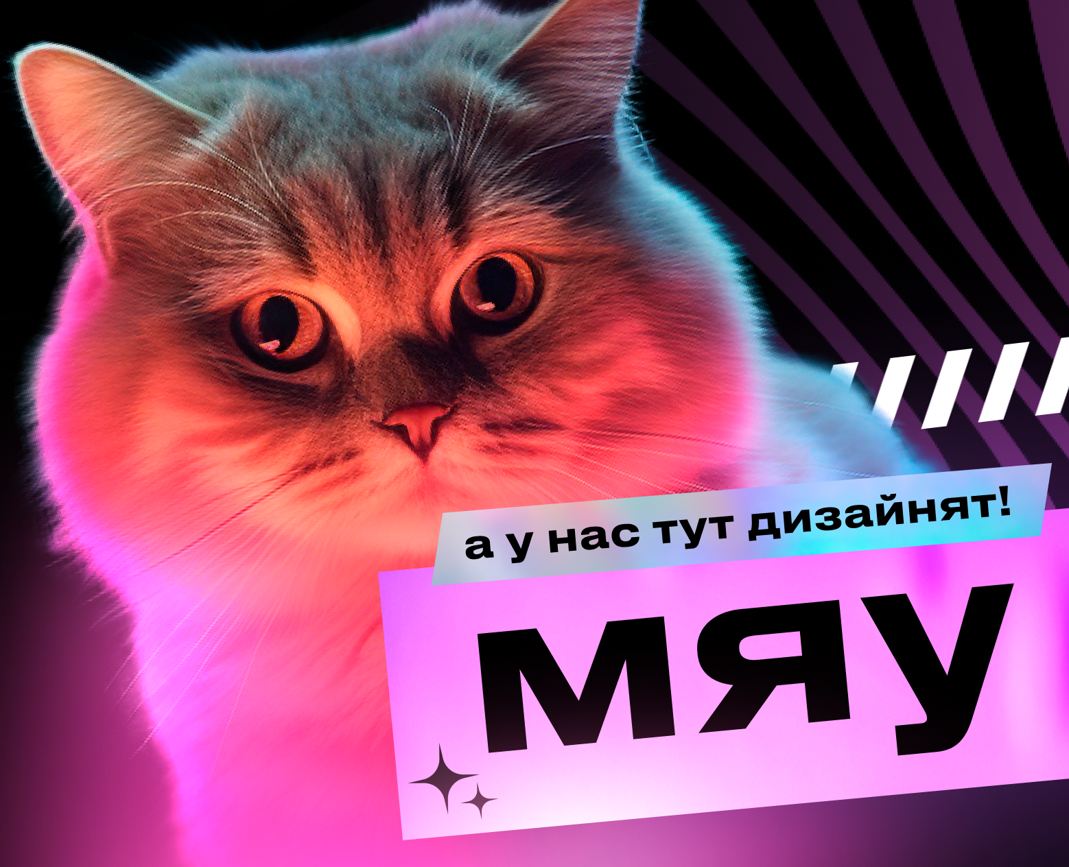Фирменный стиль для доставки еды Shikado — Брендинг, Маркетинг на Dprofile