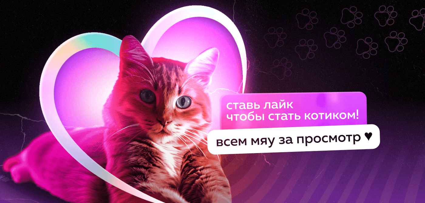 Фирменный стиль для доставки еды Shikado — Изображение №5 — Брендинг, Маркетинг на Dprofile